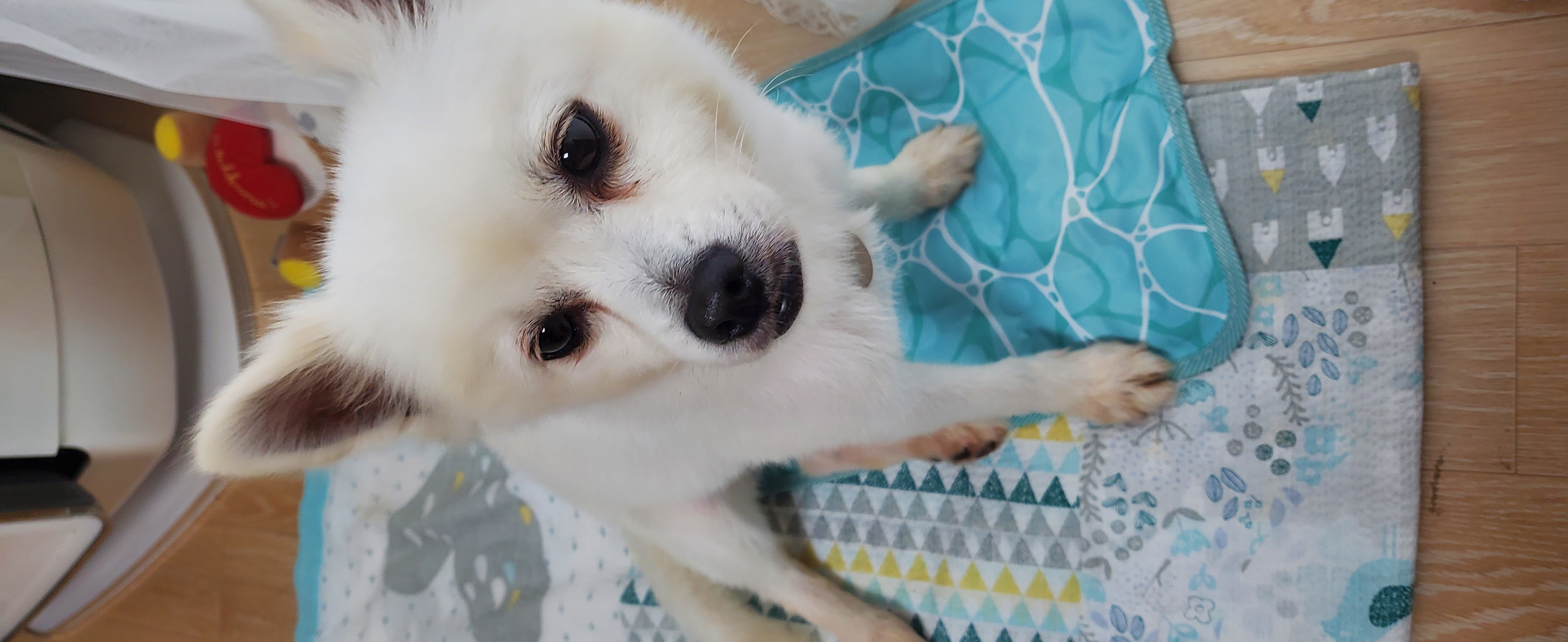 곤지암 달밤이 7일째