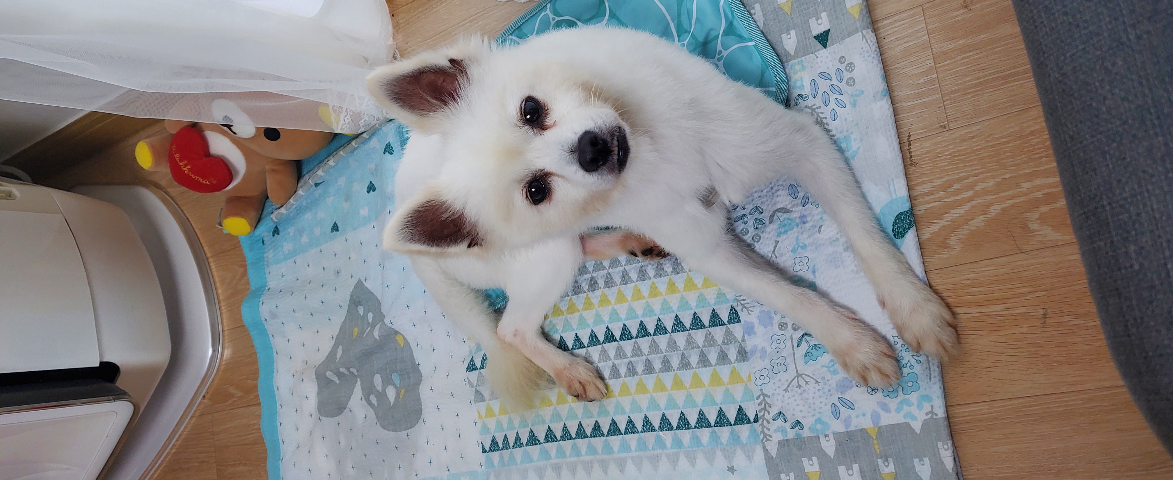 곤지암 달밤이 7일째