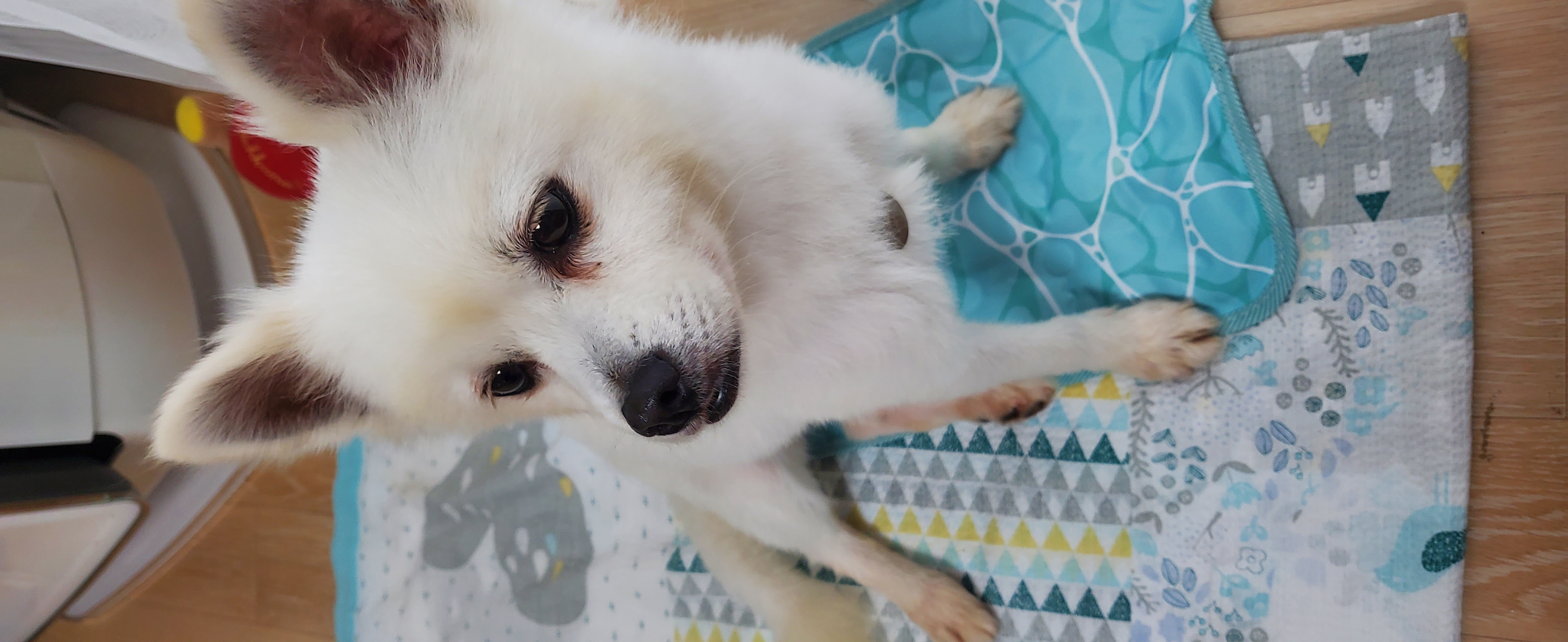 곤지암 달밤이 7일째