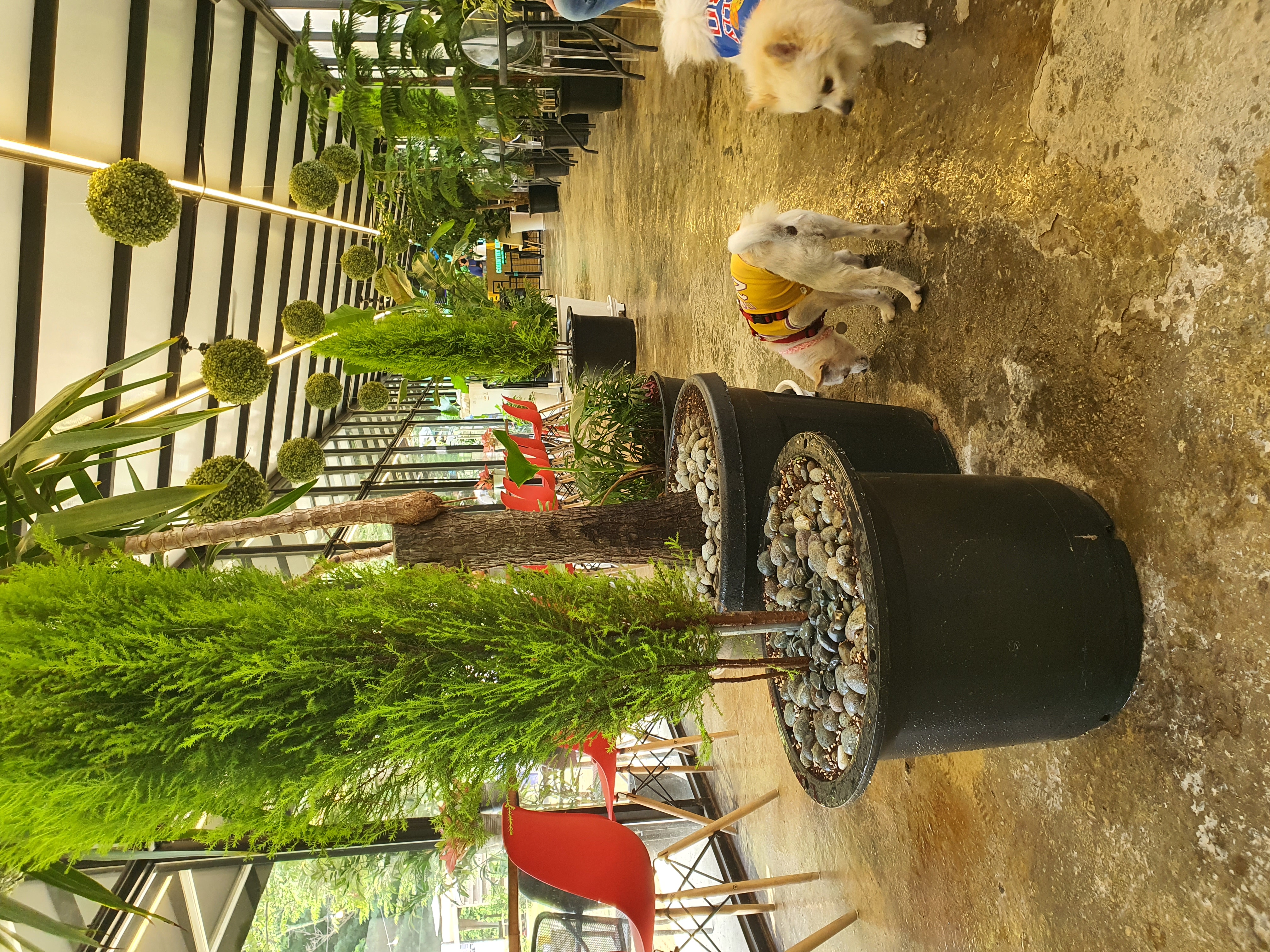 곤지암 몽쉘이(땅콩)의 한달~!