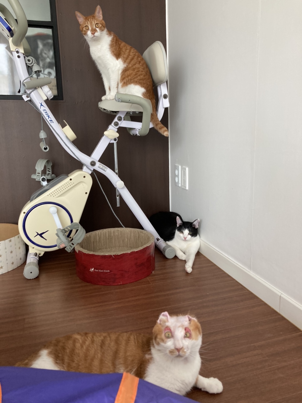 호순이와 함께 :) 