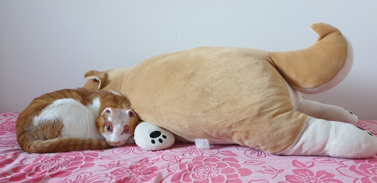 호순이와 함께 :) 