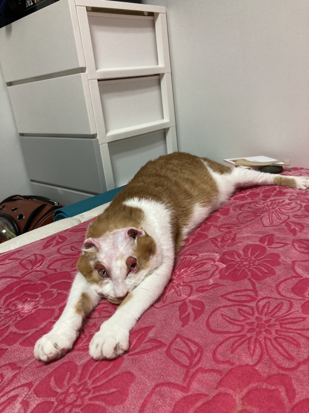 호순이와 함께 :) 