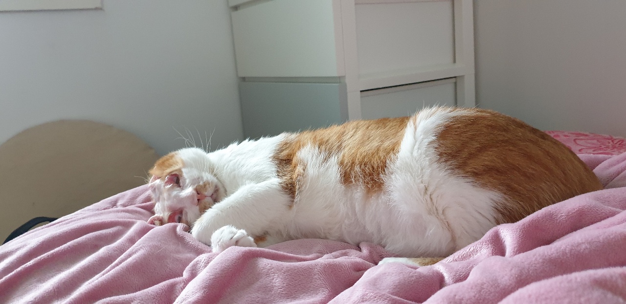 호순이와 함께 :) 