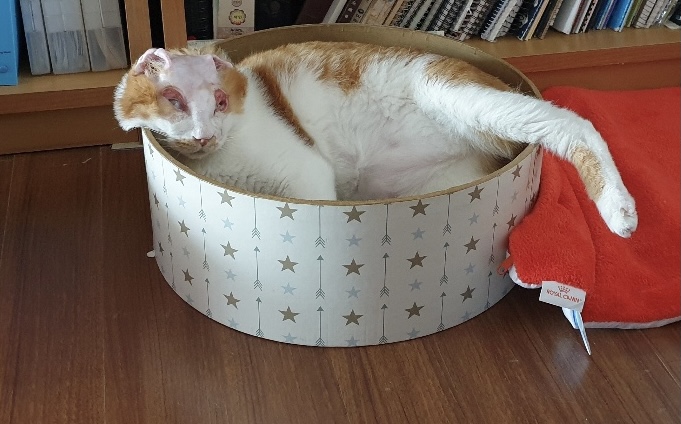 호순이와 함께 :) 