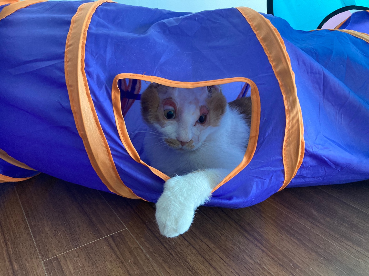 호순이와 함께 :) 