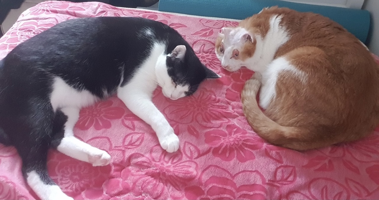 호순이와 함께 :) 