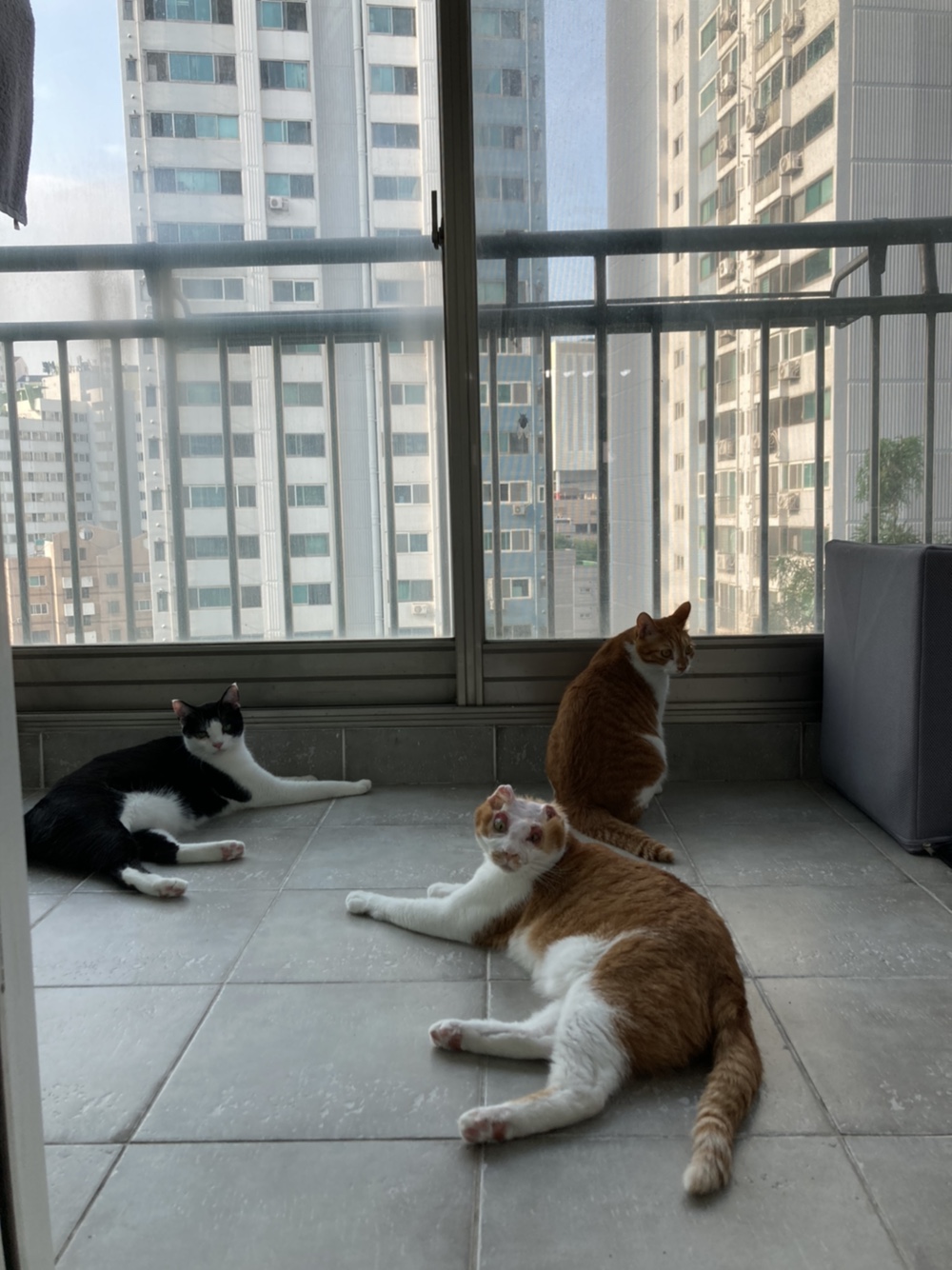 호순이와 함께 :) 