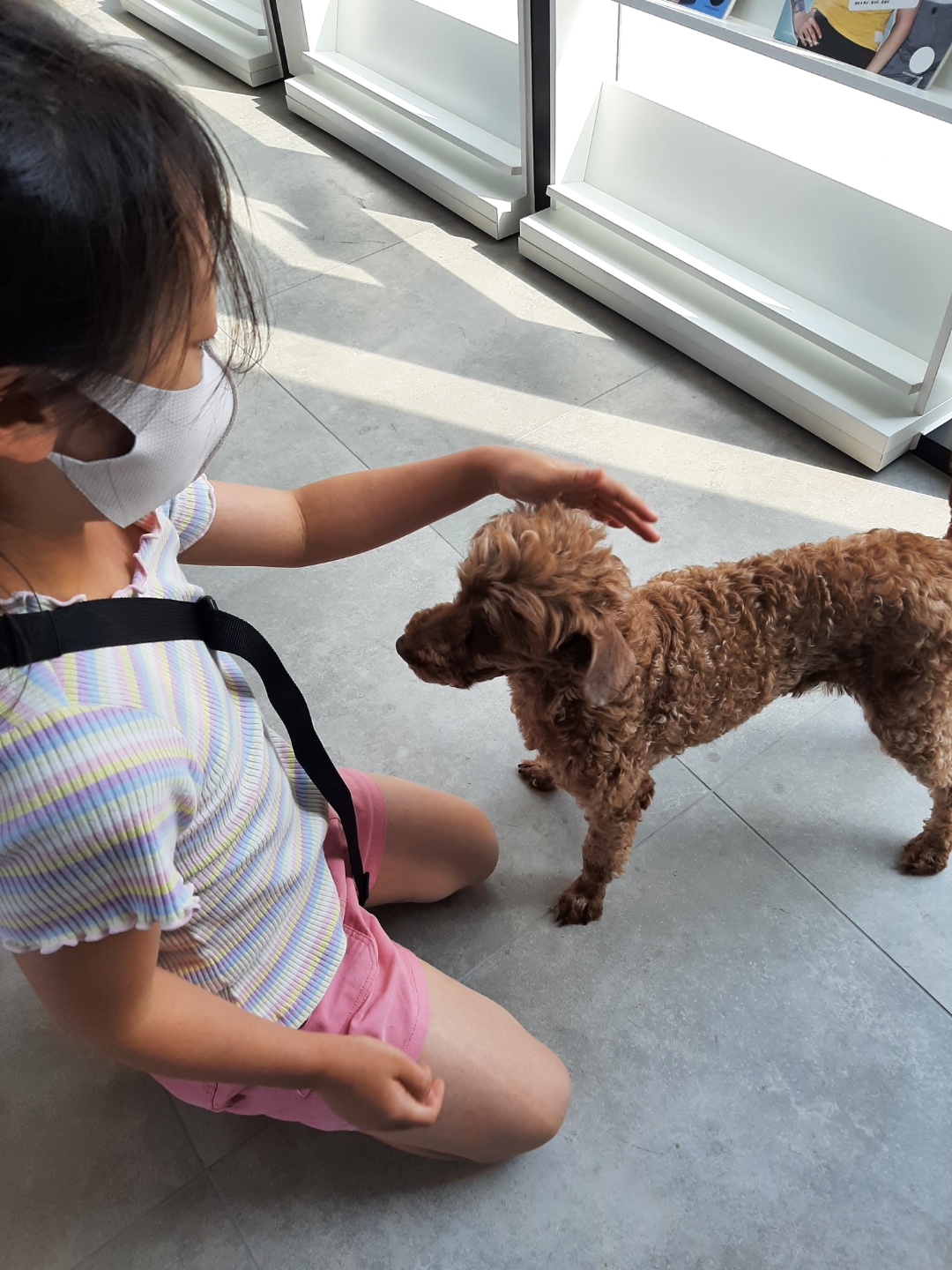 코리(곤지암)와 지낸지 일주일 ^^