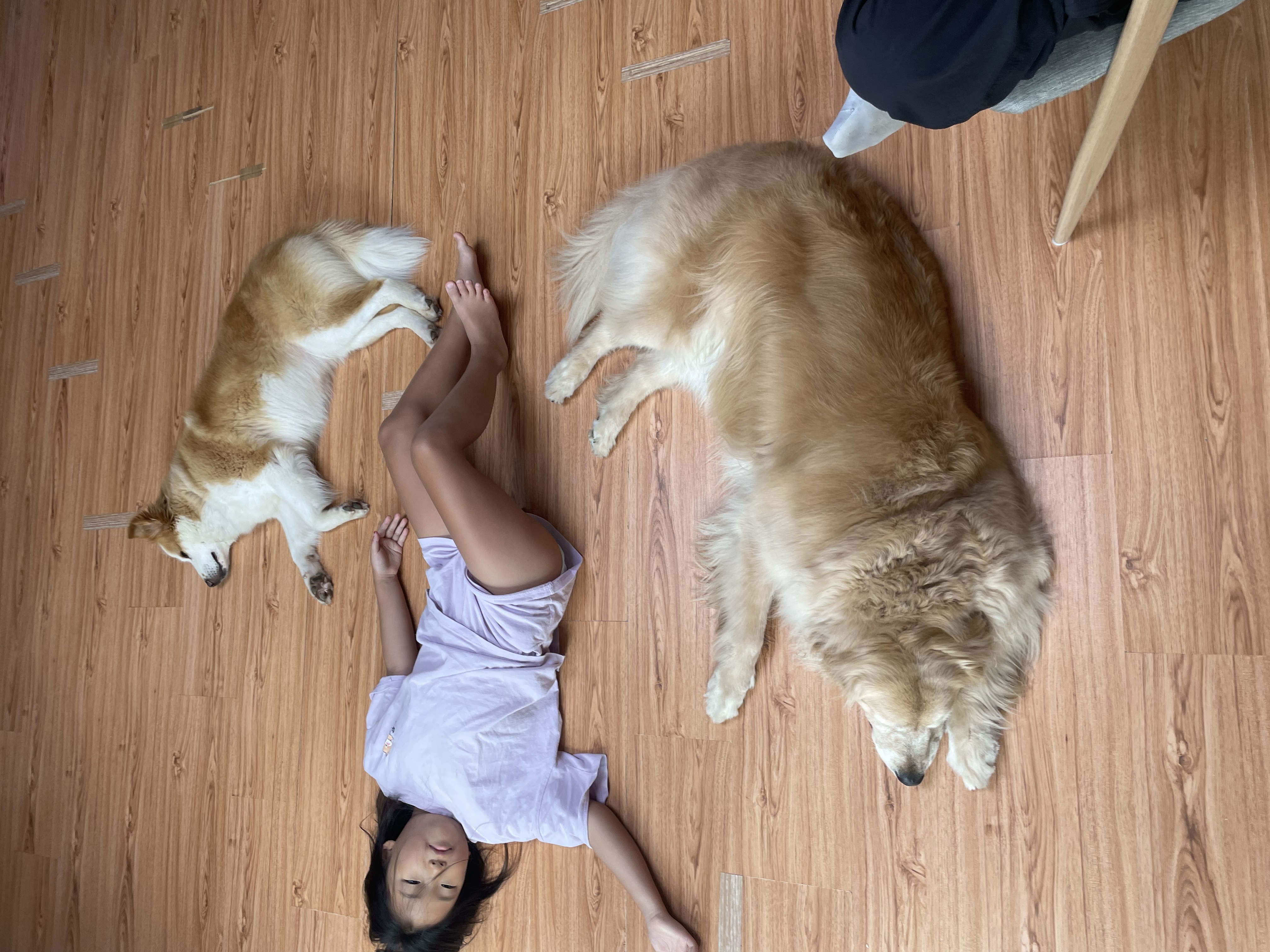 룽지가 온지 한달입니다