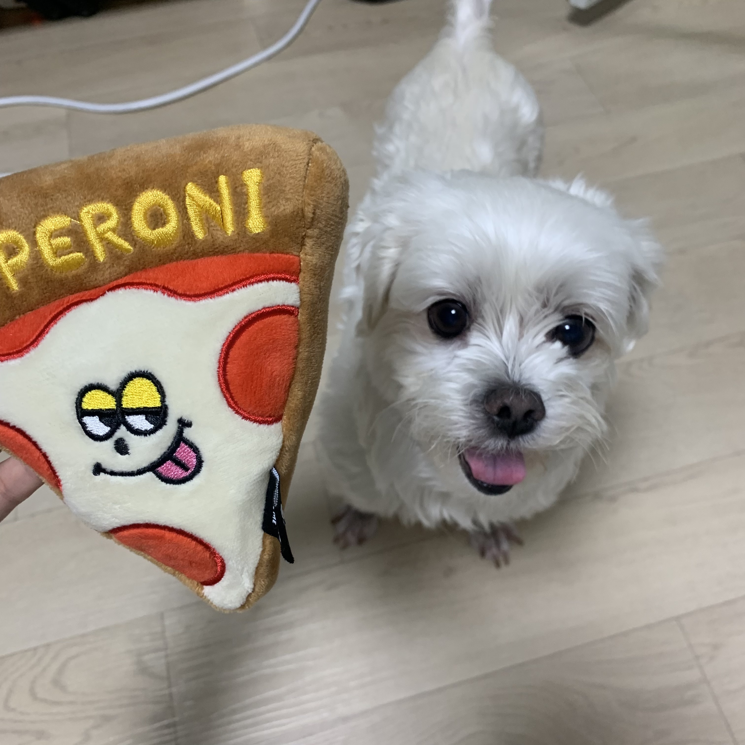 삼숙이 입양 후 한 달