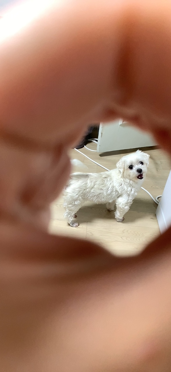 삼숙이 입양 후 한 달