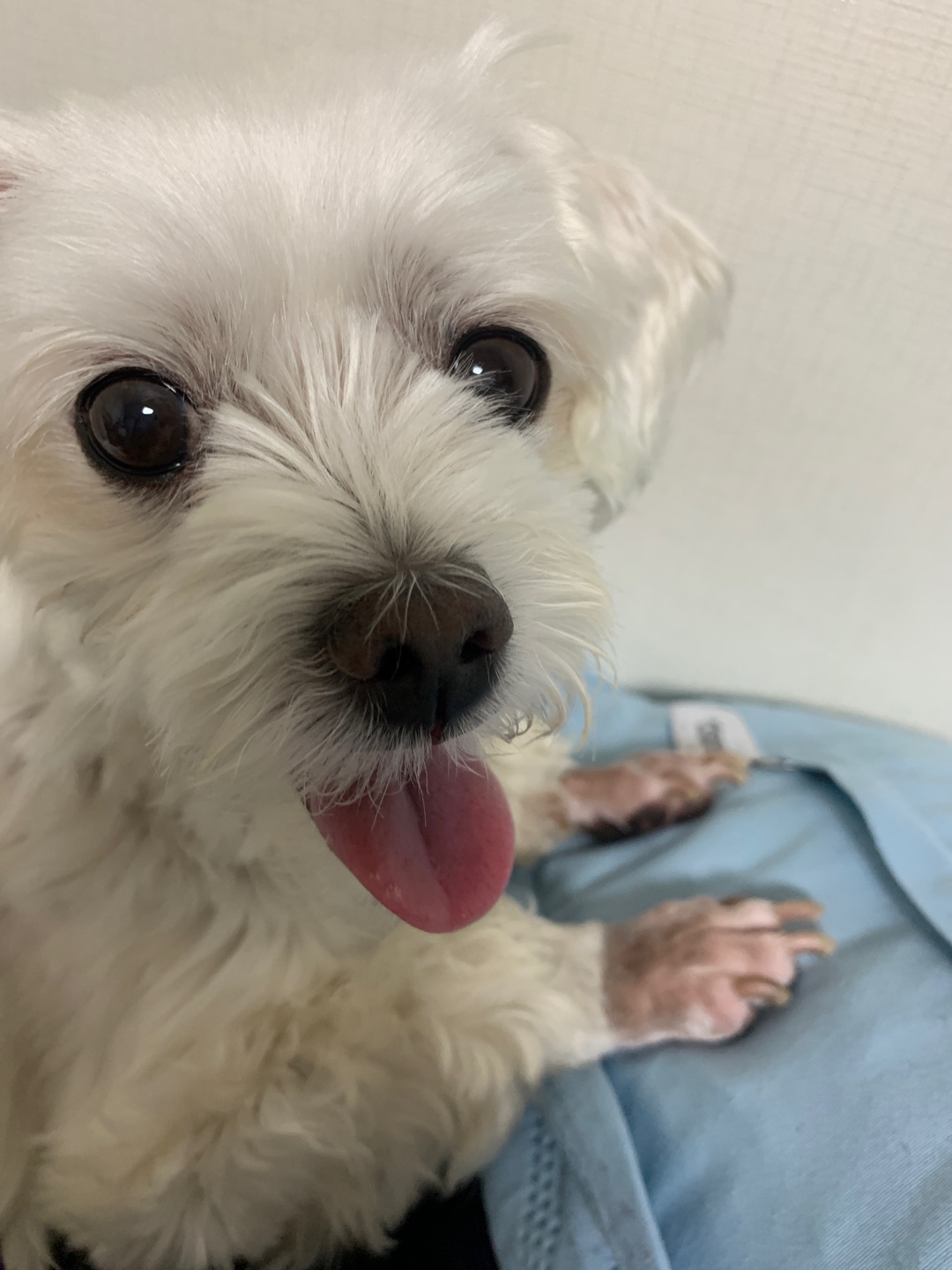 삼숙이 입양 후 한 달