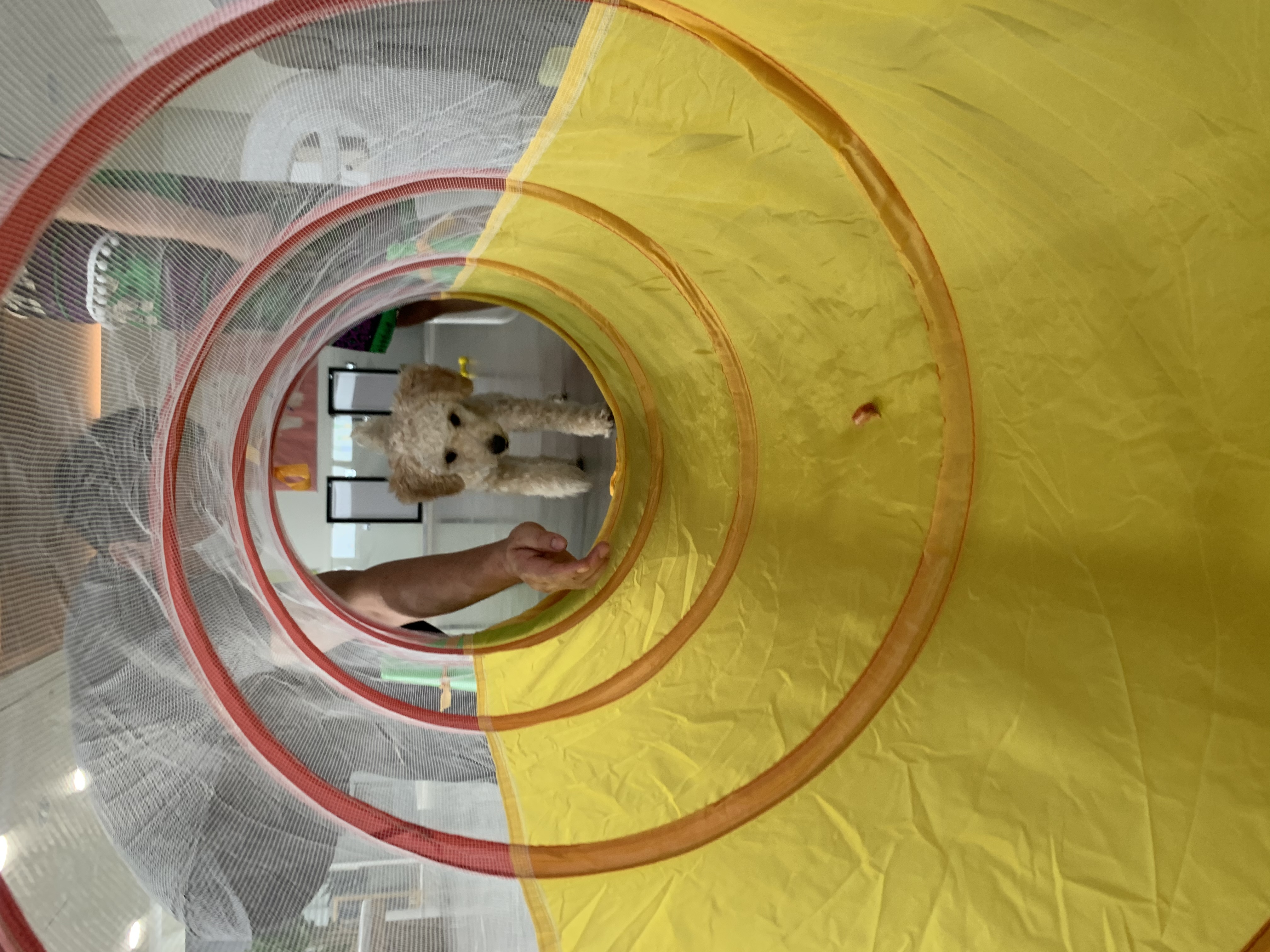 곤지암 해이 6개월차