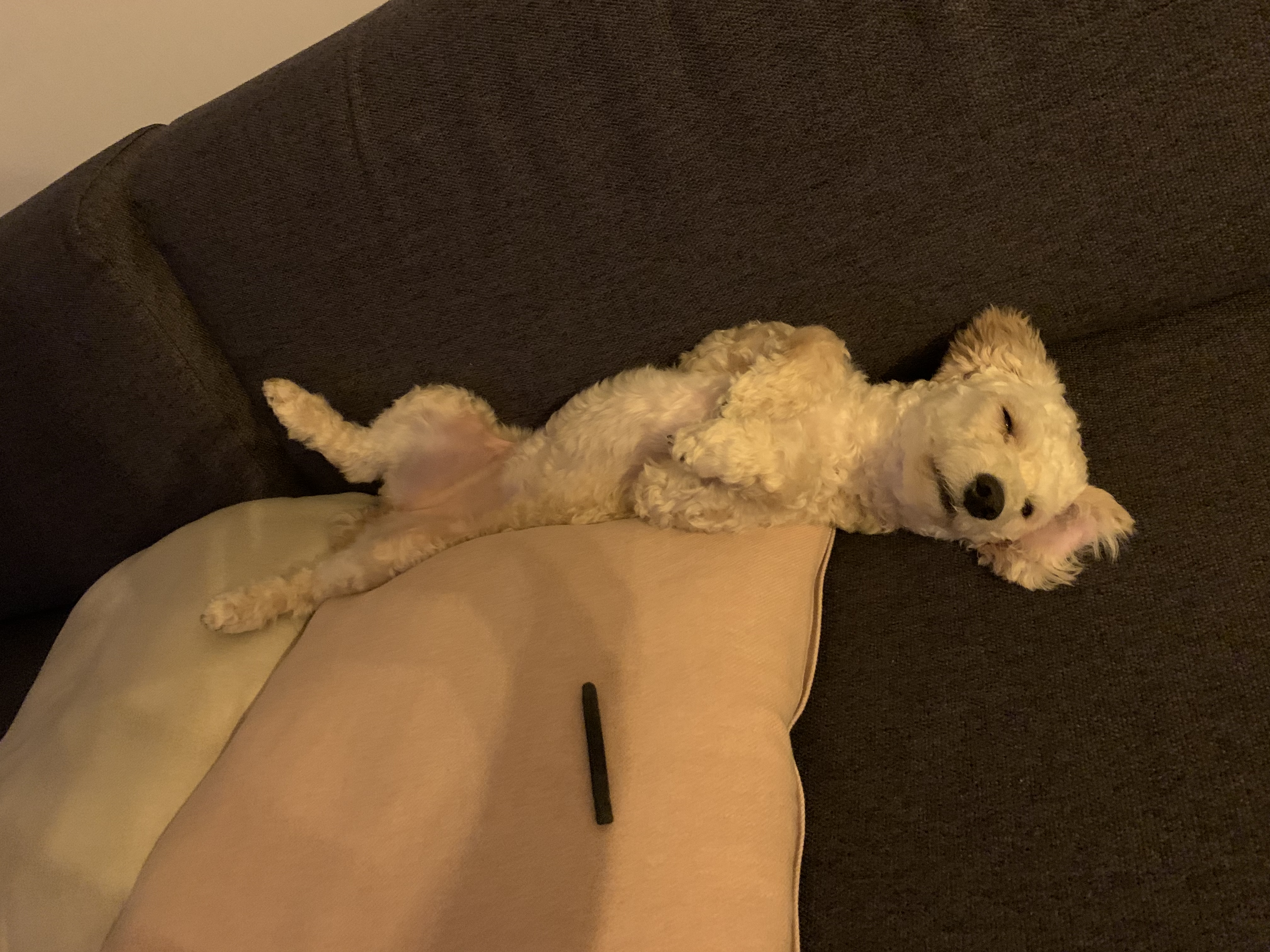 곤지암 해이 6개월차