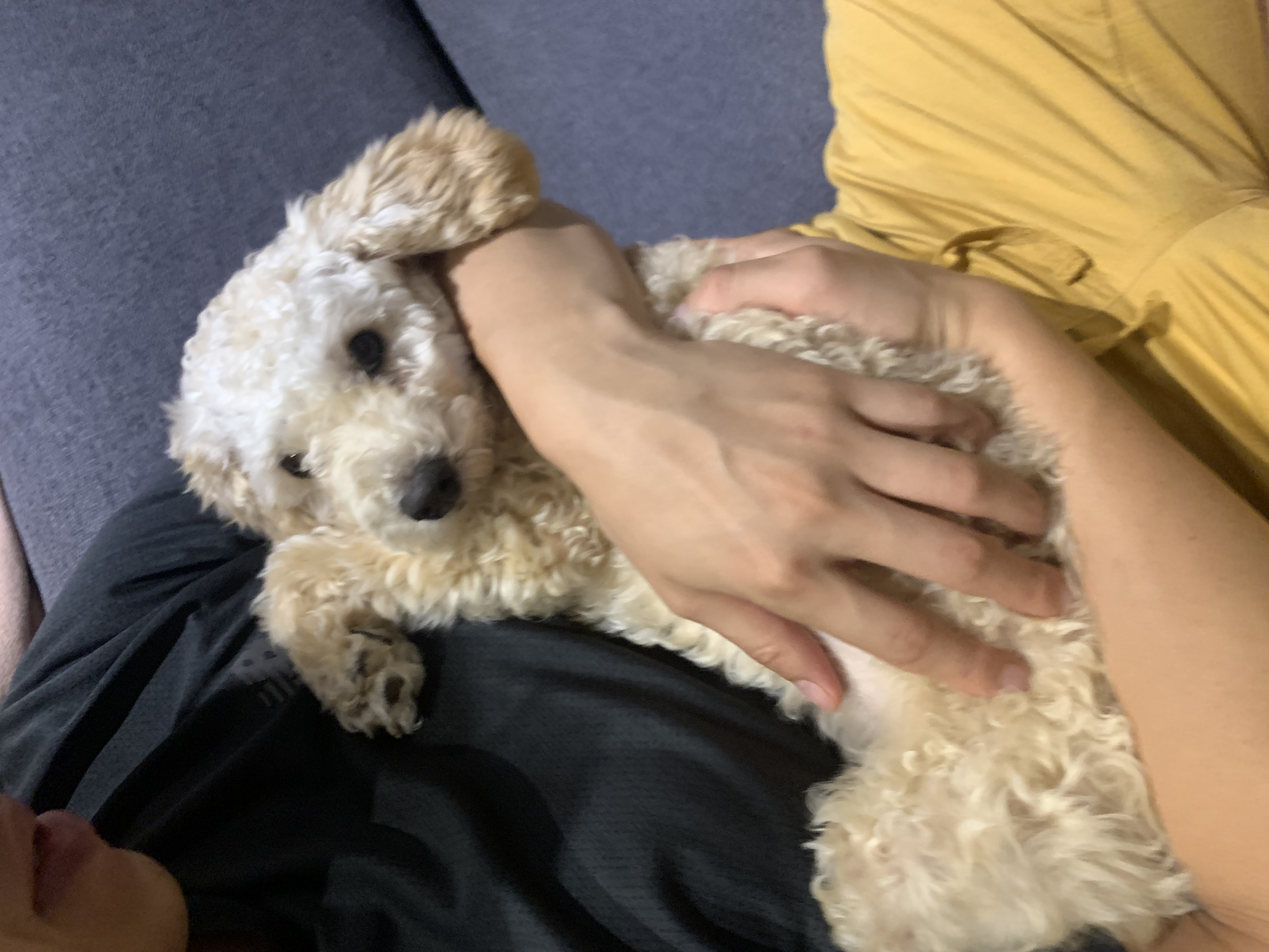 곤지암 해이 6개월차