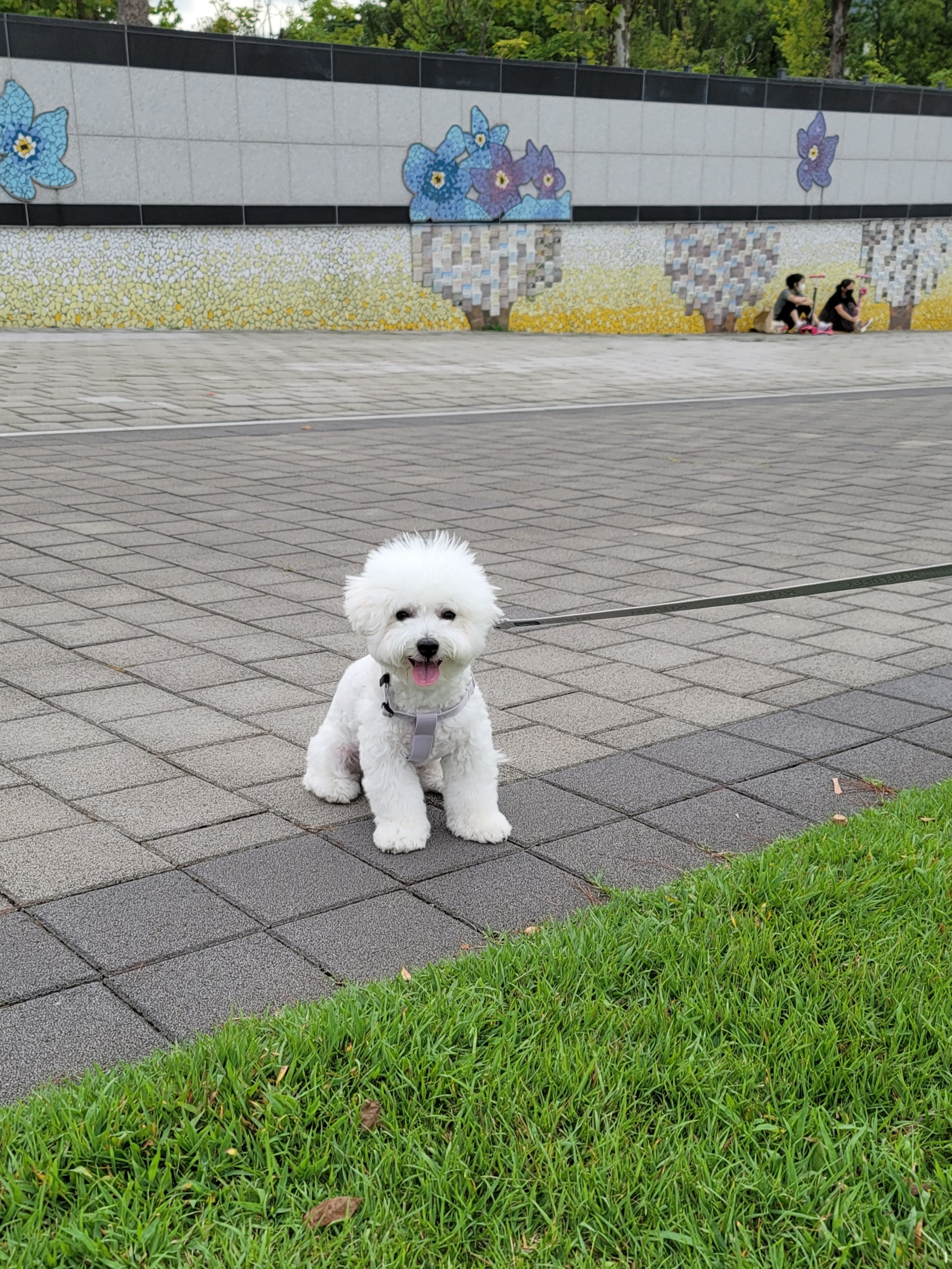 하음(구름)이 하삼(봄)이 소식이에요~