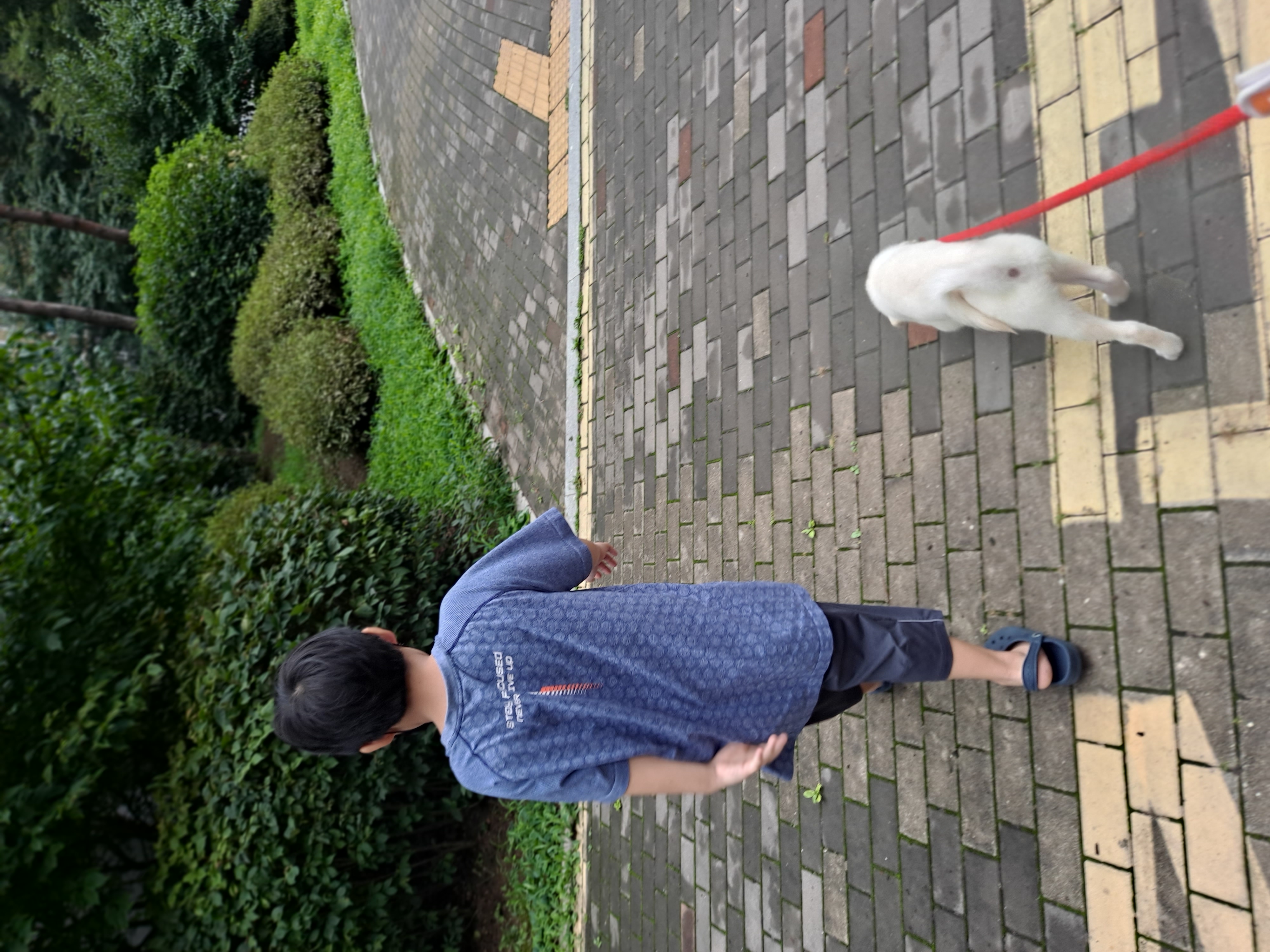 하양이(시도)가 온지 벌써 일주일 됐네요