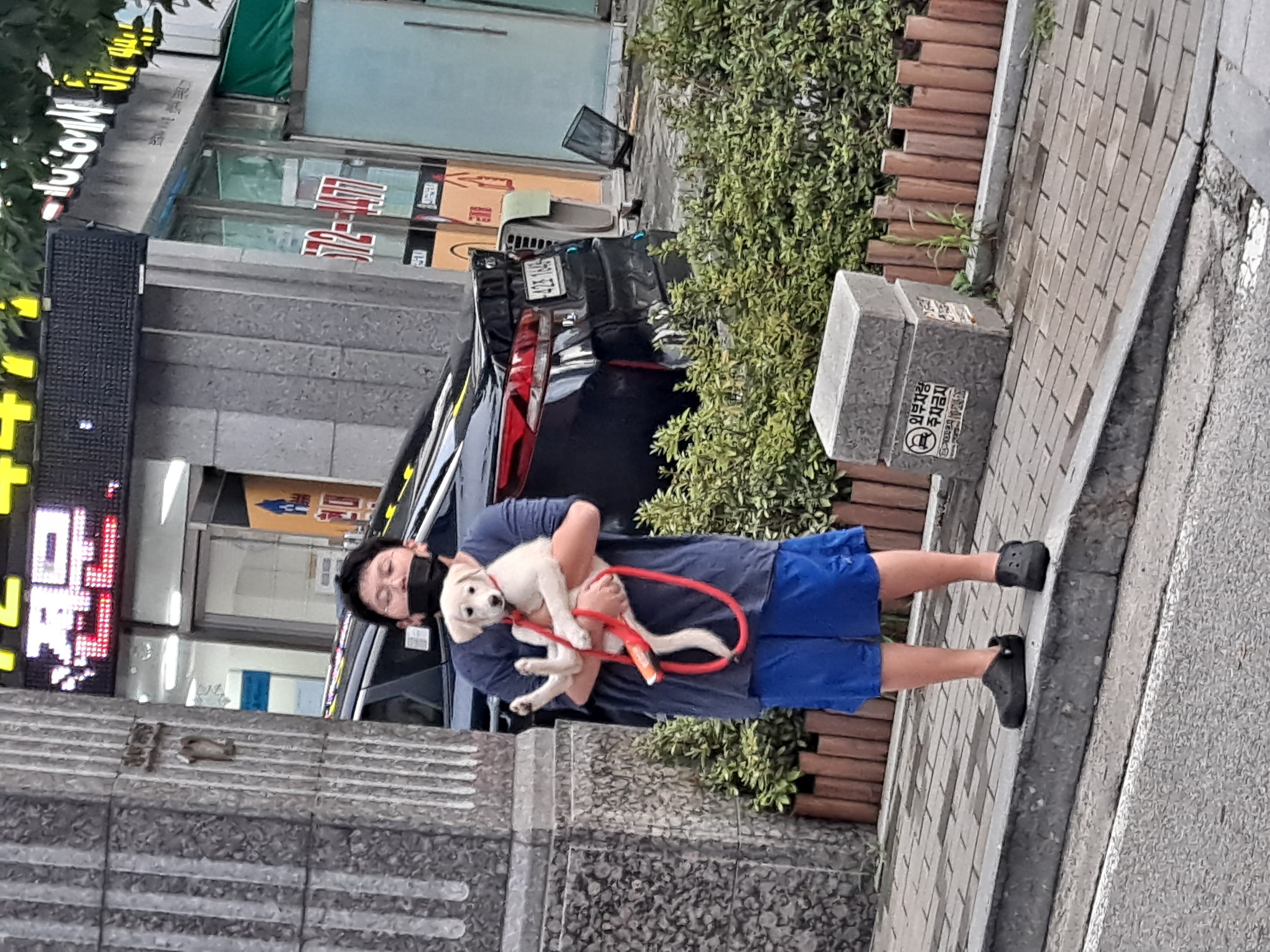 하양이(시도)가 온지 벌써 일주일 됐네요