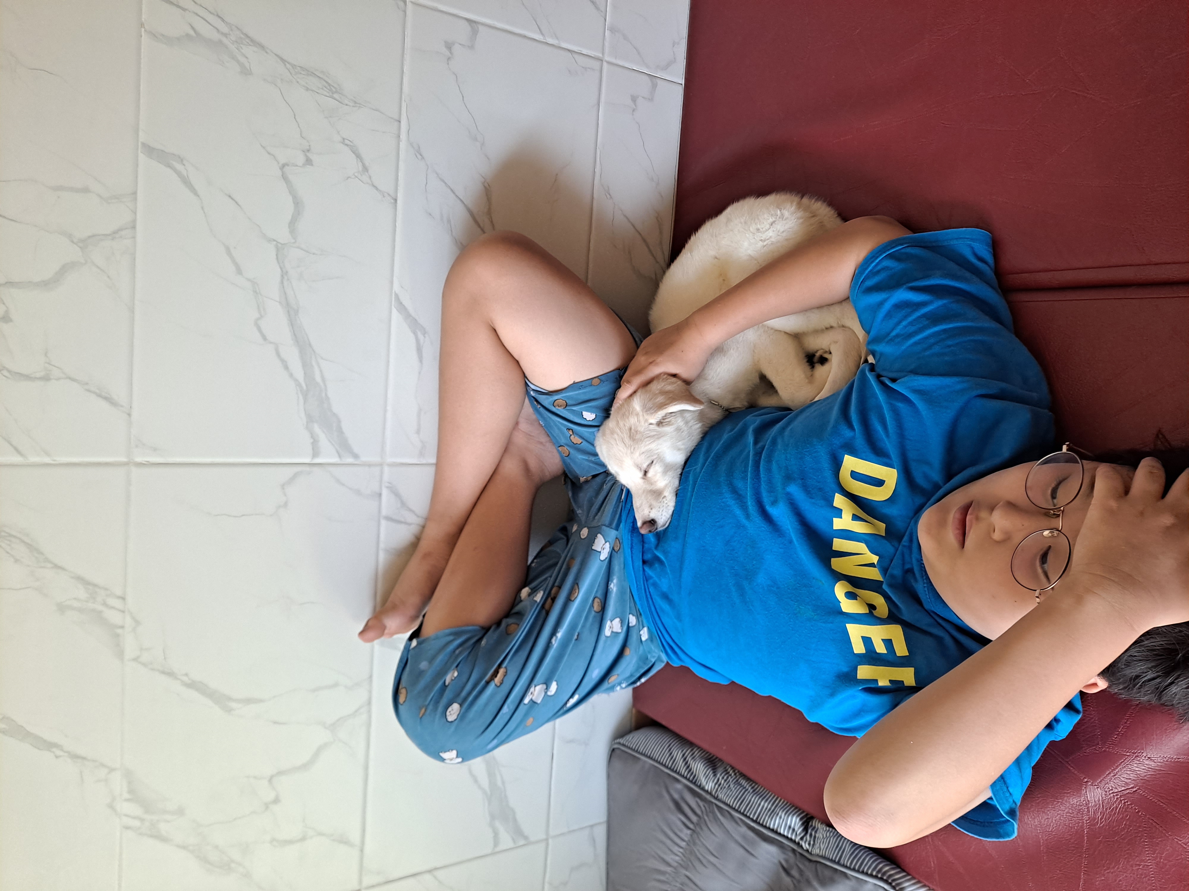 하양이(시도)가 온지 벌써 일주일 됐네요