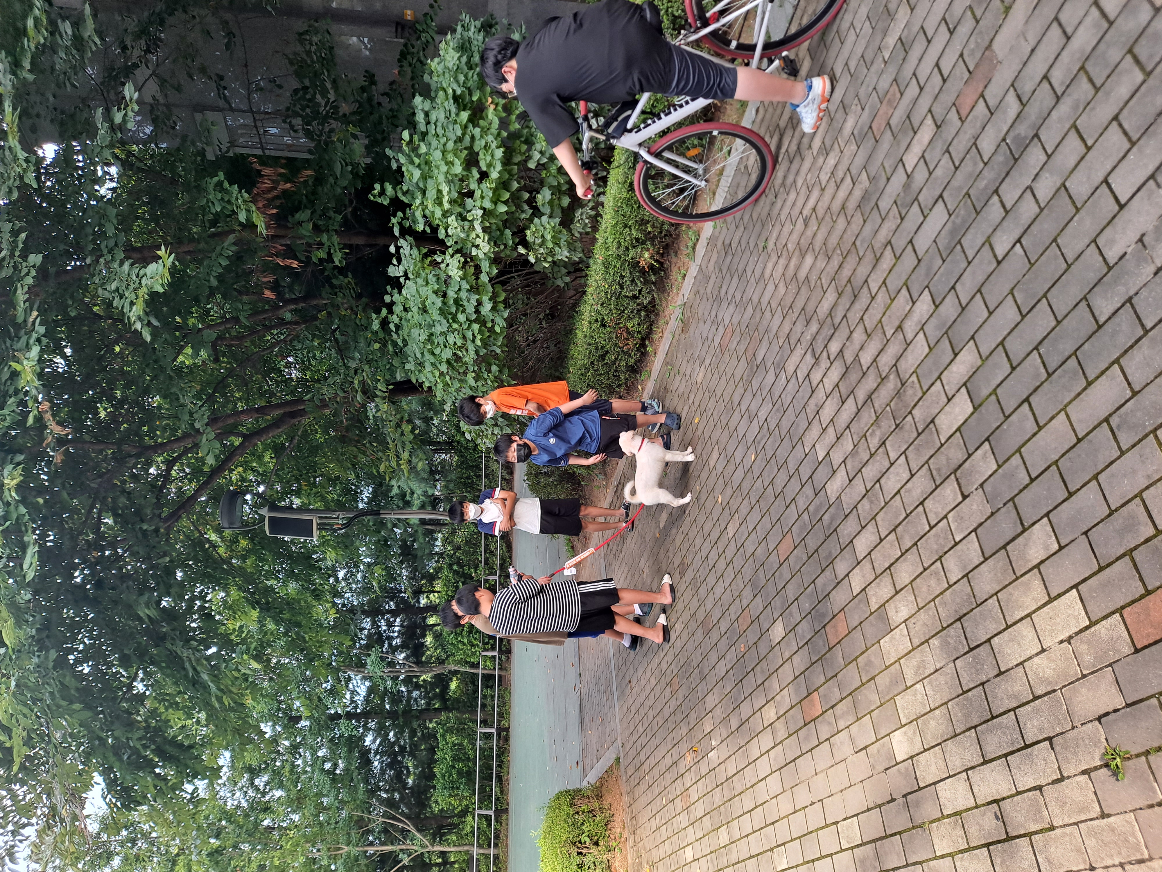 하양이(시도)가 온지 벌써 일주일 됐네요