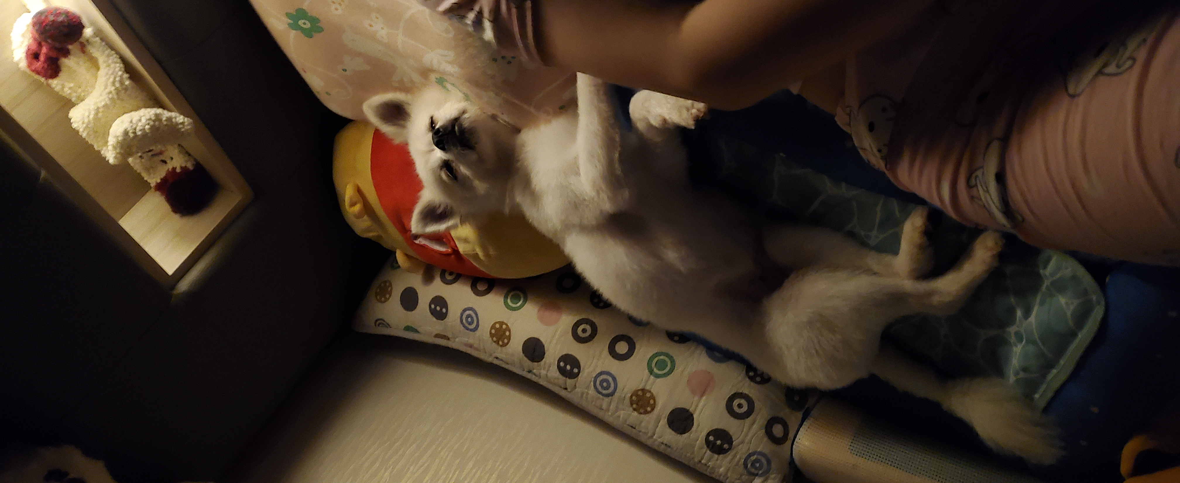 곤지암 달밤이 벌써 1달이넘었어요~~