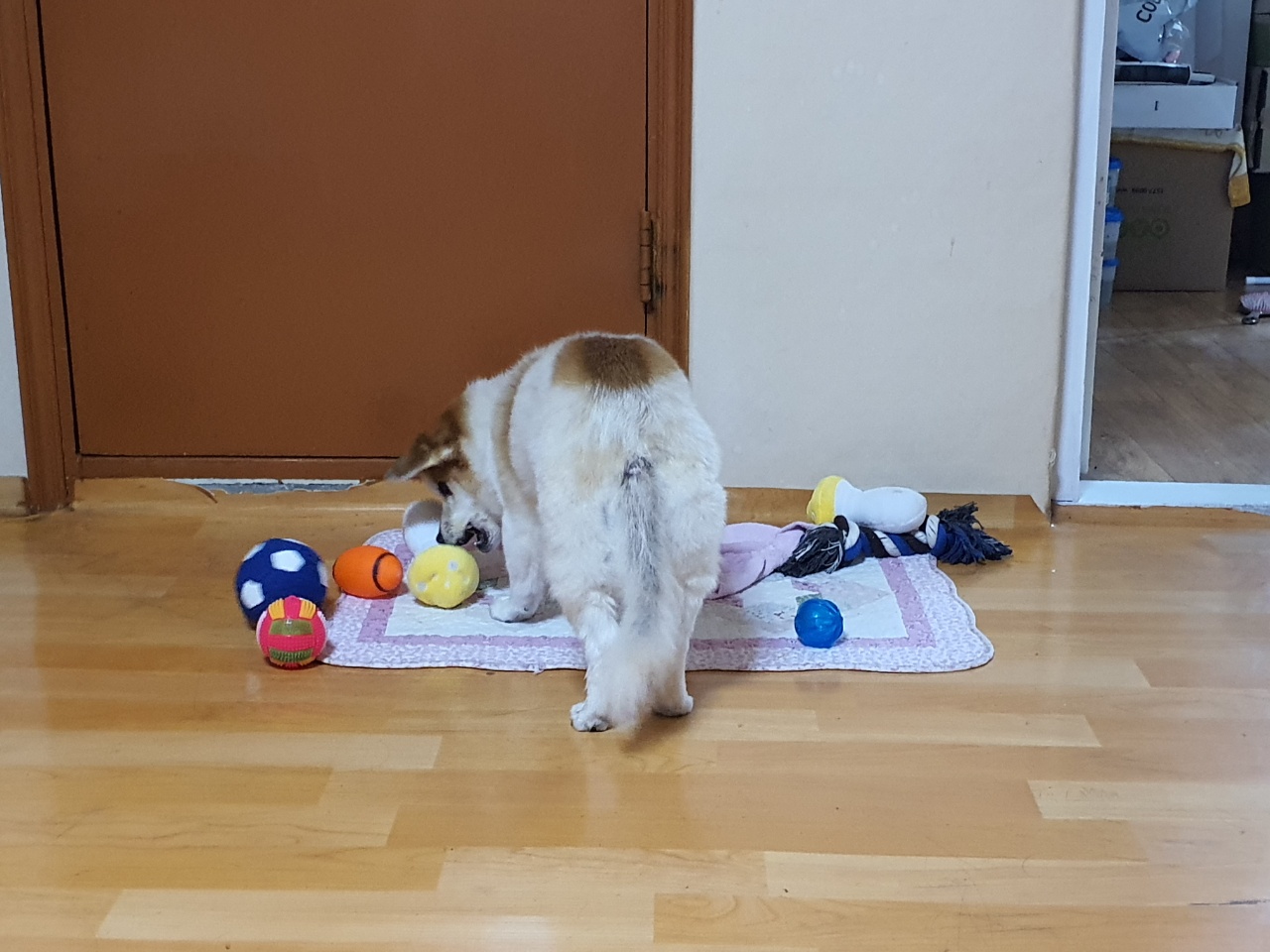 꼬마와 함께한지 벌써 한 달이 지났어요~