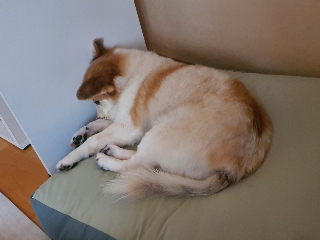 꼬마와 함께한지 벌써 한 달이 지났어요~