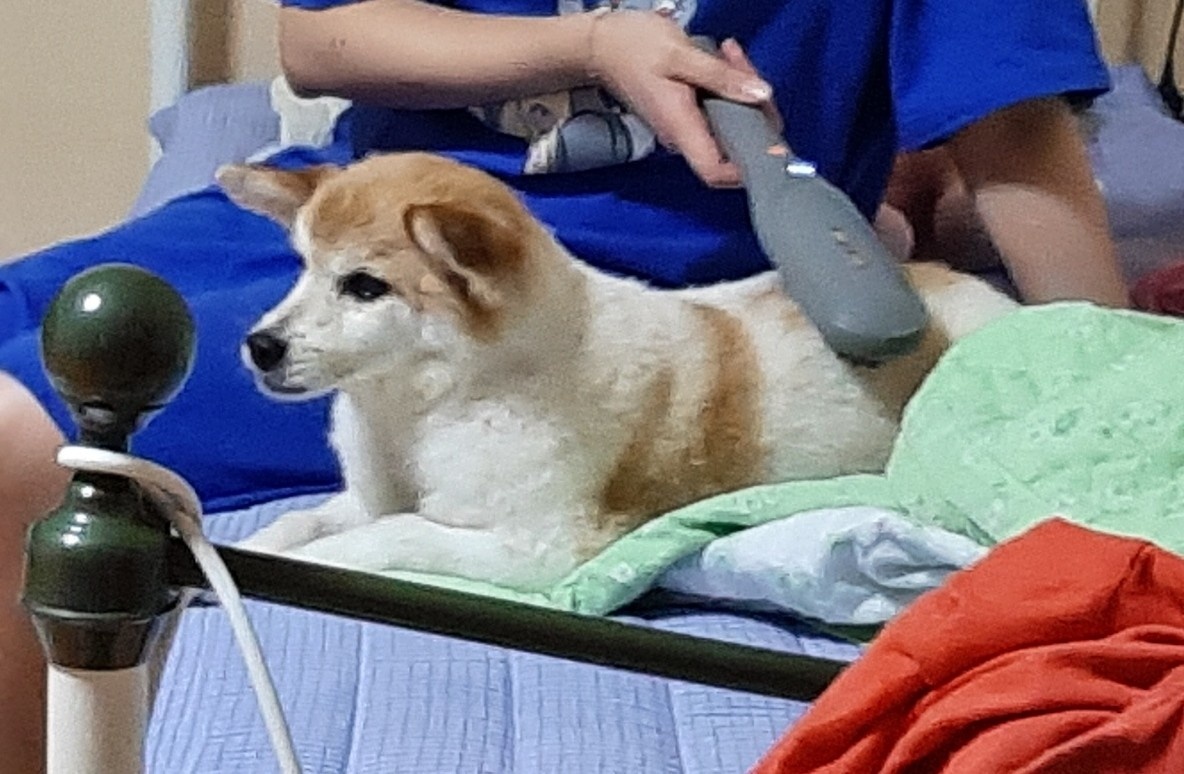 꼬마와 함께한지 벌써 한 달이 지났어요~