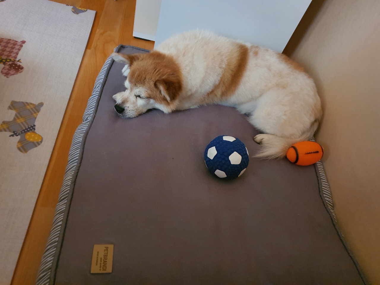 꼬마와 함께한지 벌써 한 달이 지났어요~