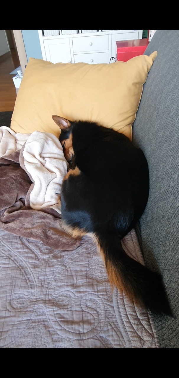 가인이 너무 오랜만에 왔네요^^;;