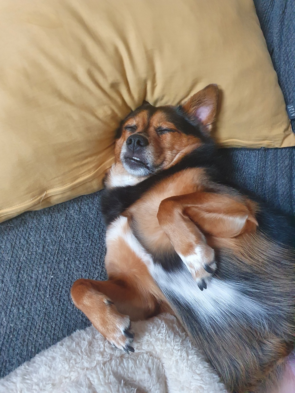 가인이 너무 오랜만에 왔네요^^;;