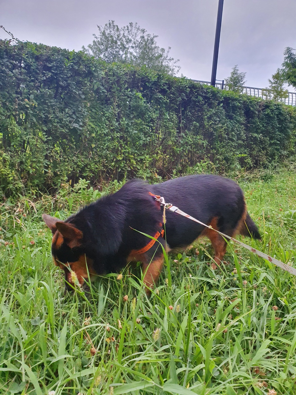 가인이 너무 오랜만에 왔네요^^;;