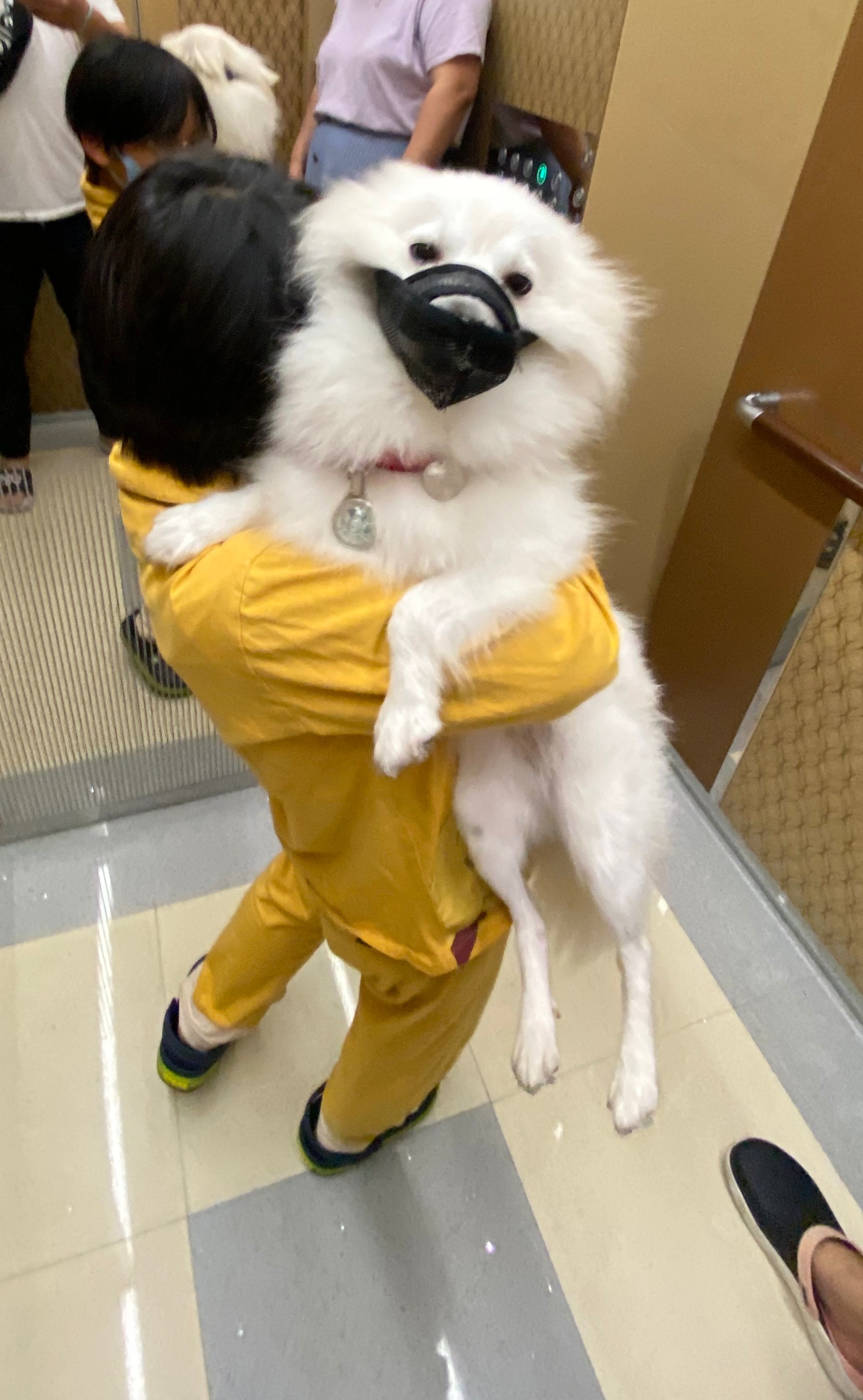 휘핑이 한달 임보 이야기♡