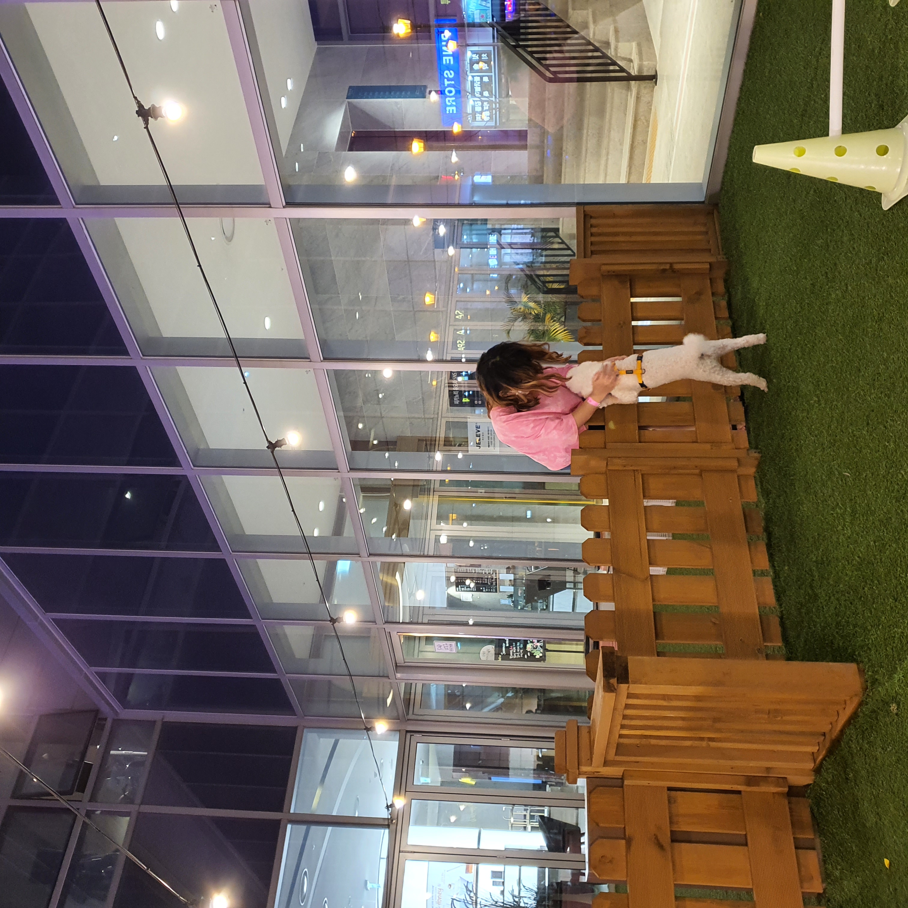 최고다(레일이) 온지 벌써 100일(3개월) 이 됐어요!