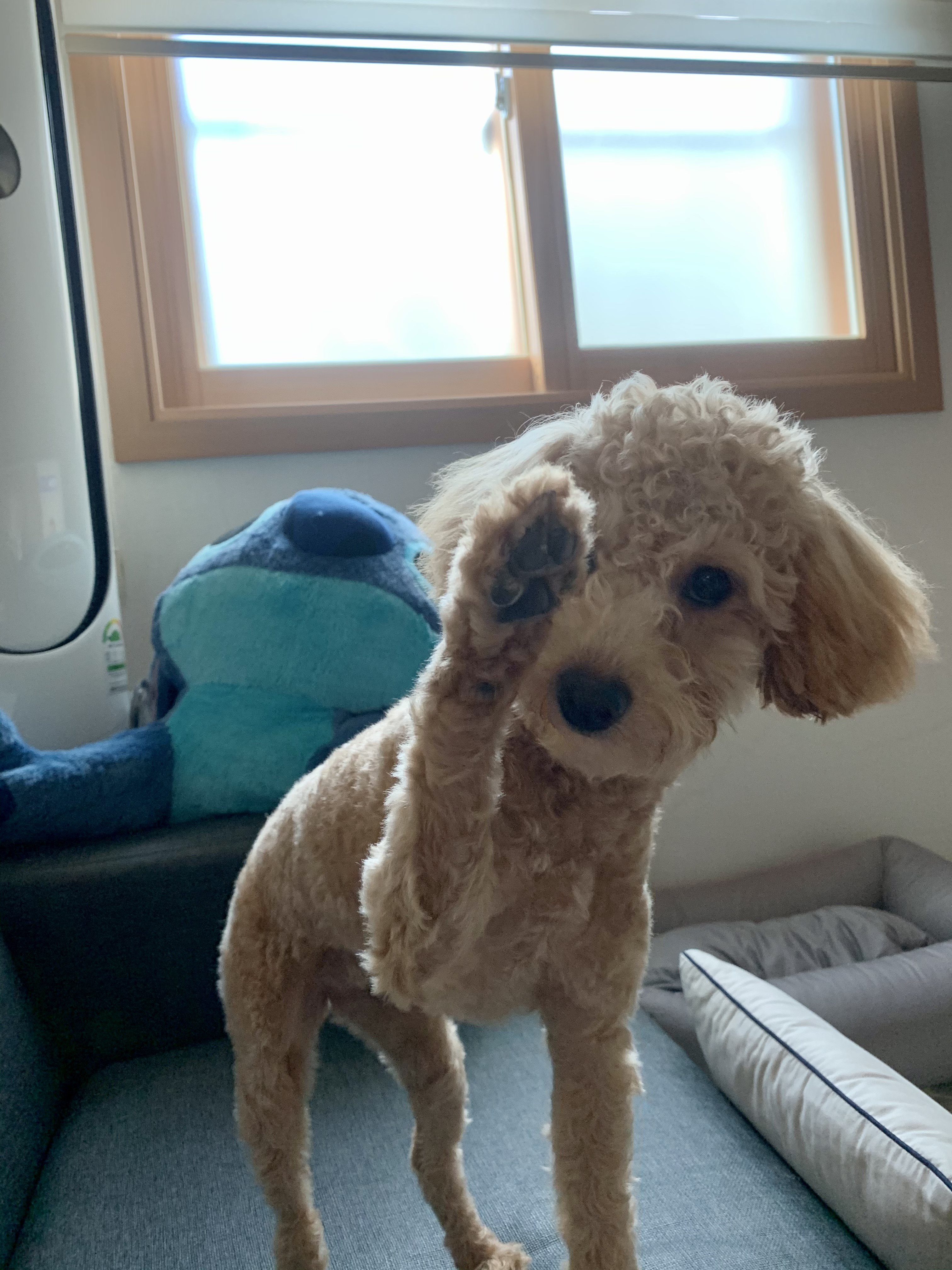 초이(곤지암 해삼) 6개월의 기록