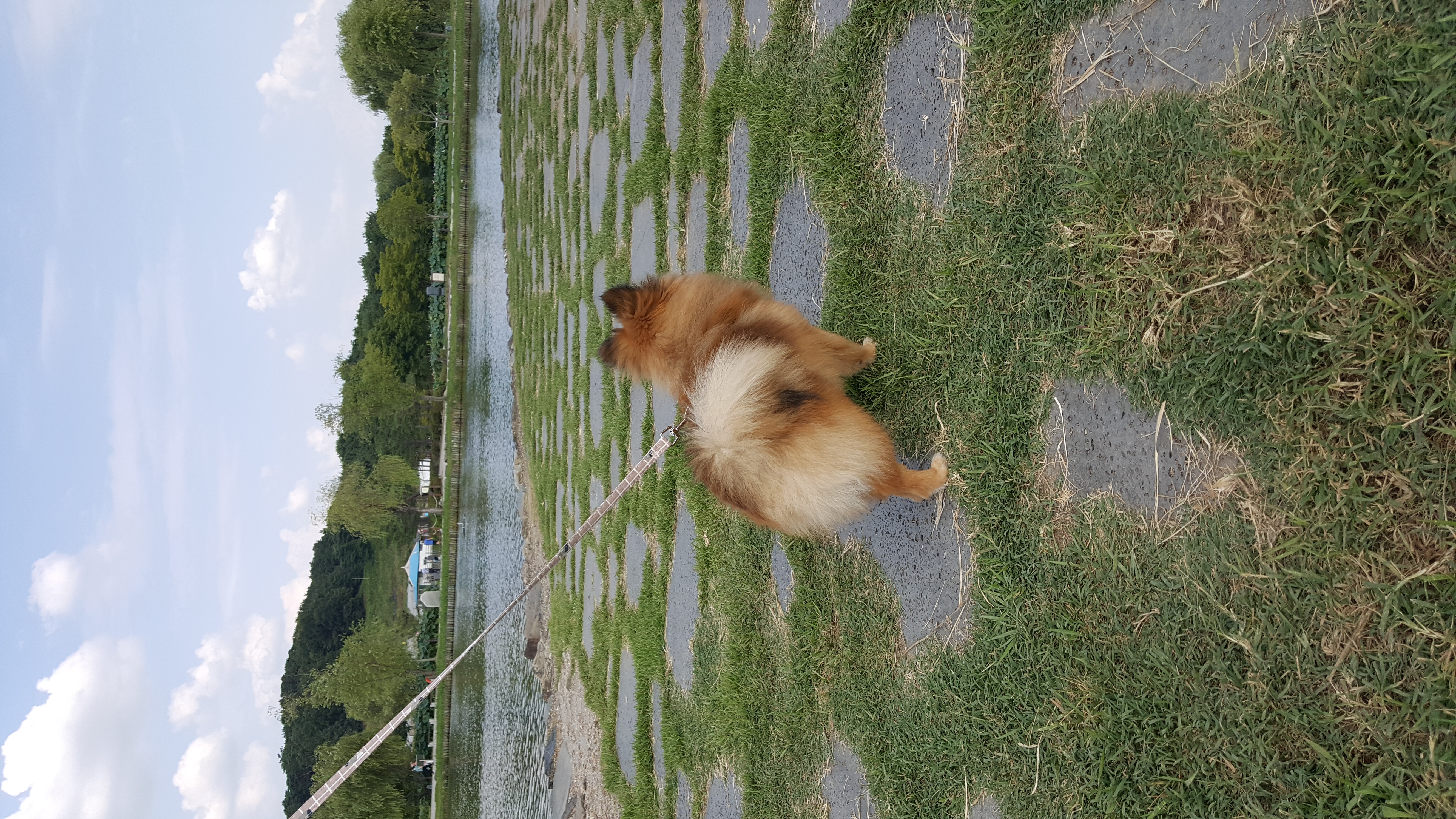 러비(워일) 3개월 됐어요~~