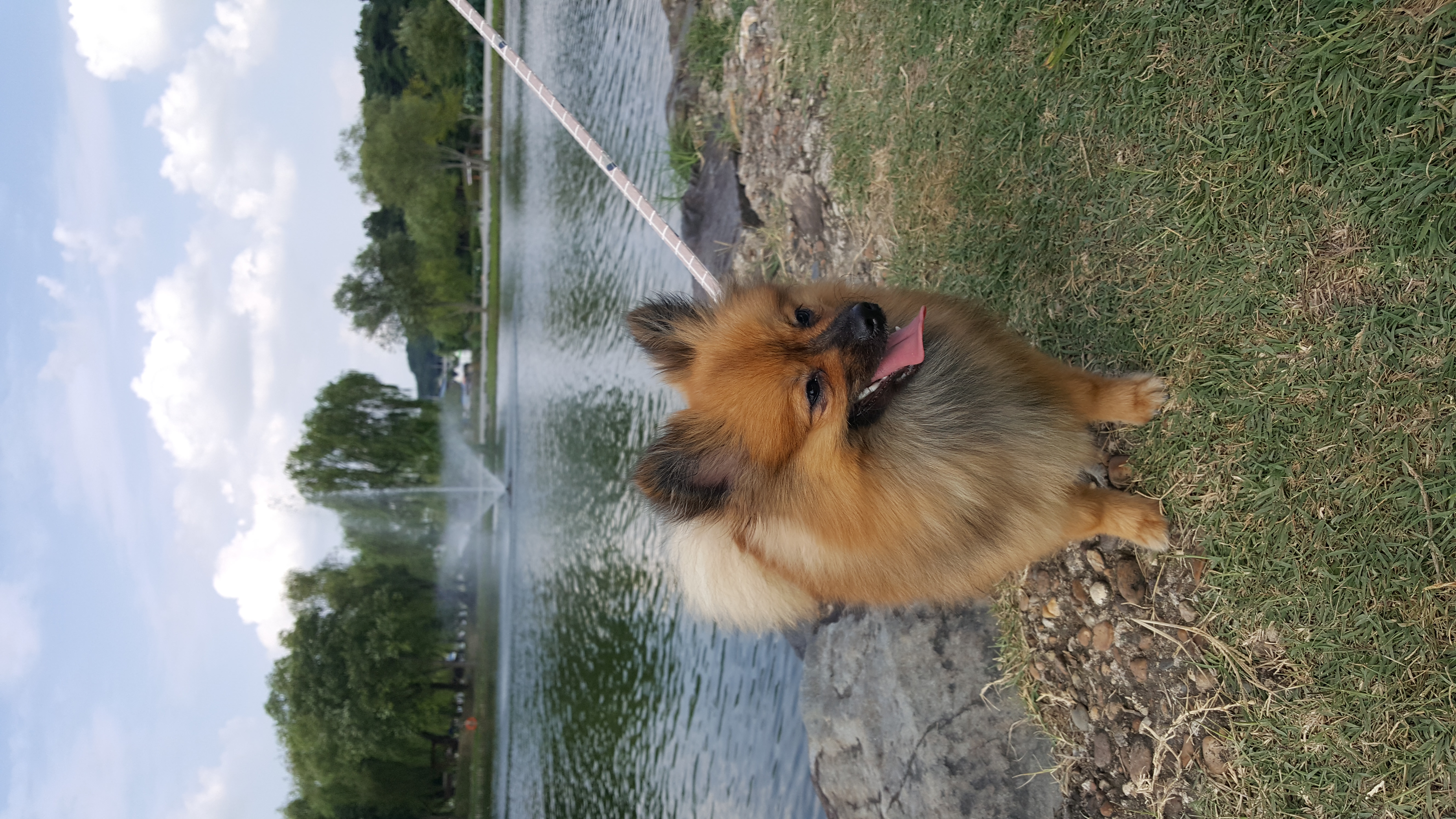 러비(워일) 3개월 됐어요~~