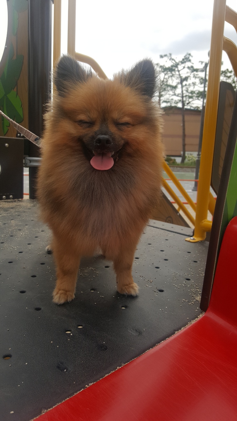 러비(워일) 3개월 됐어요~~