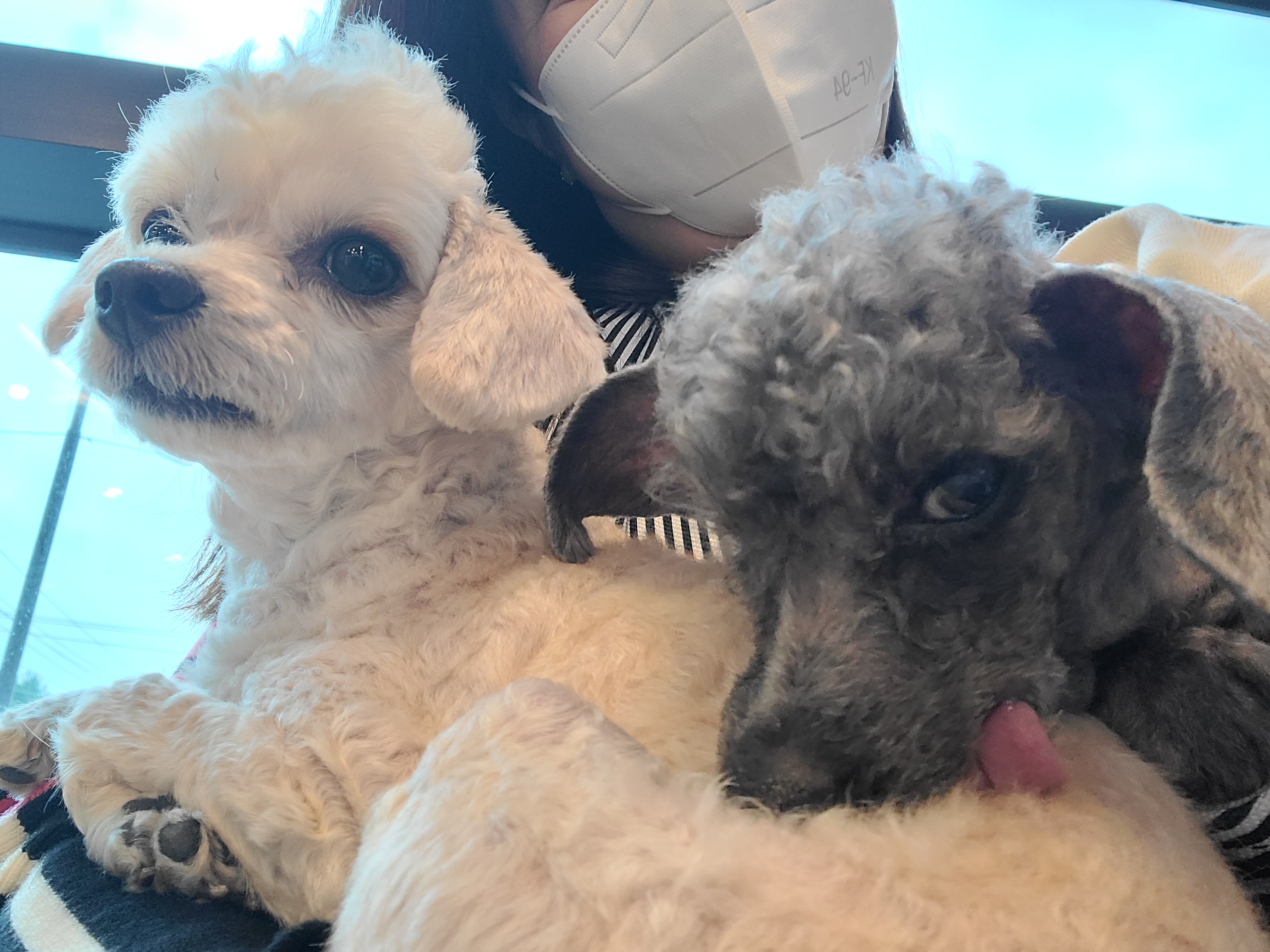 지금 우리엘라는~