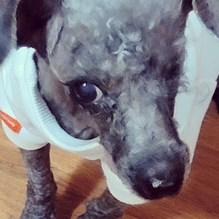 지금 우리엘라는~