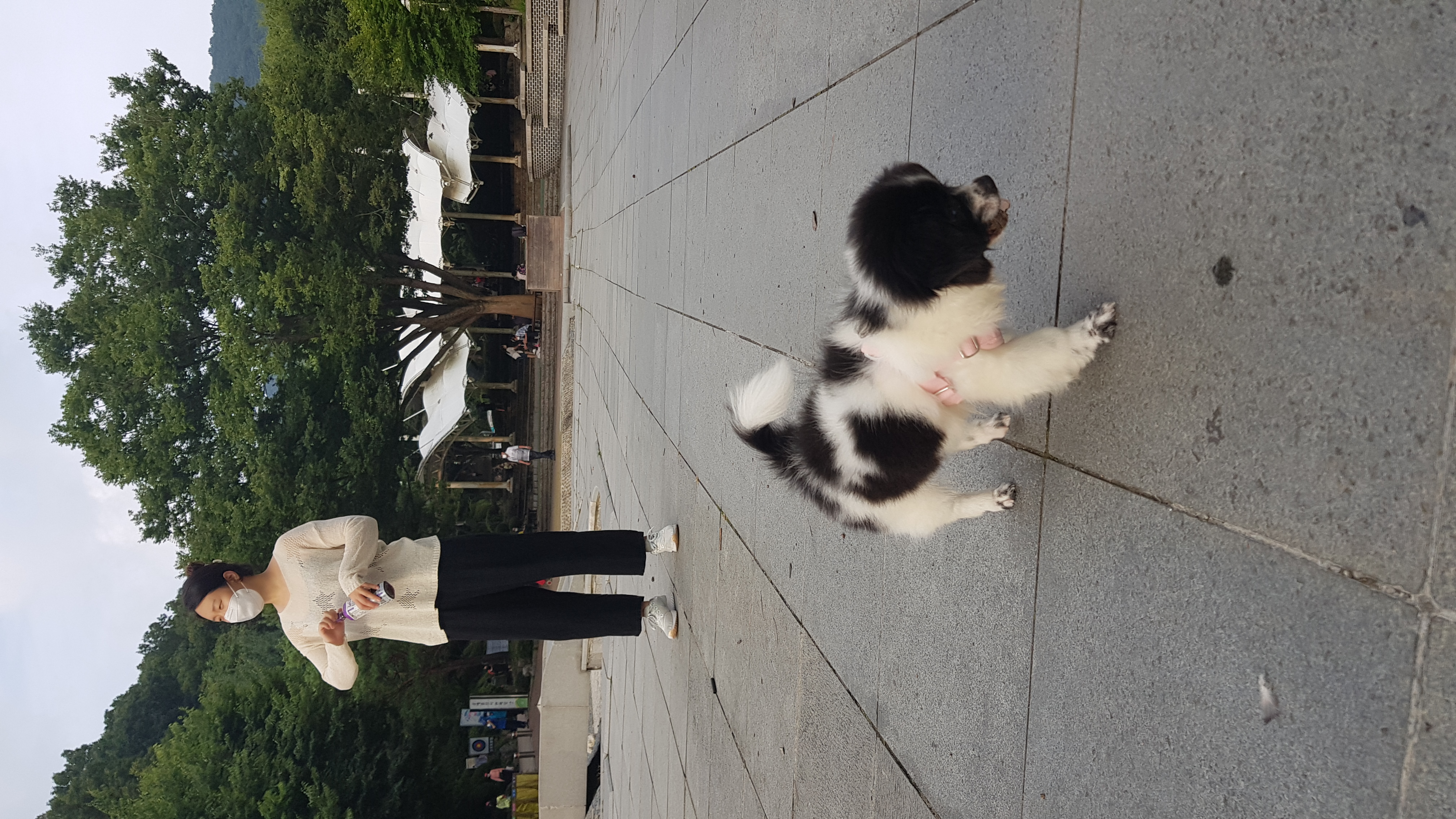 자이 입양 한달일기