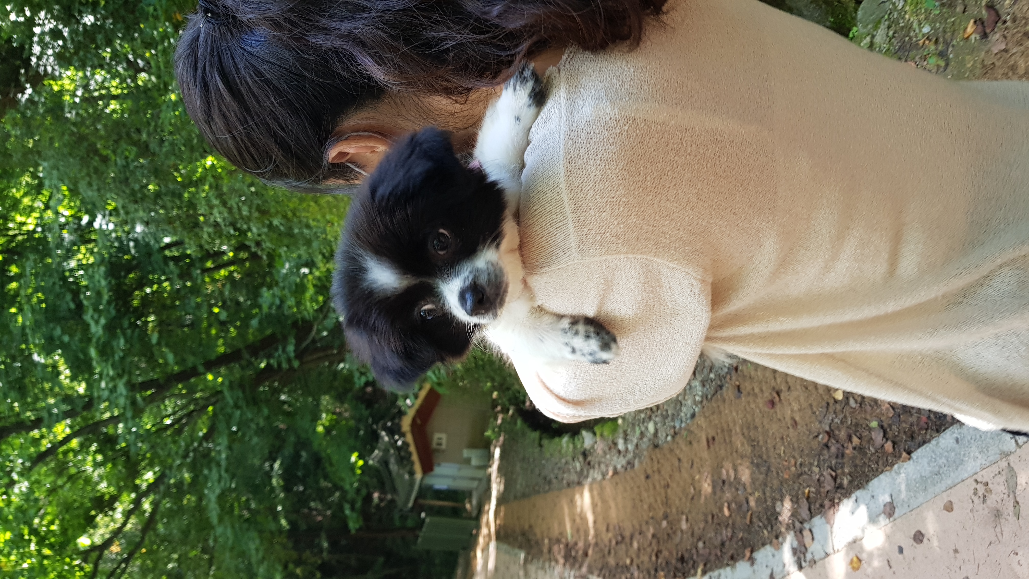 자이 입양 한달일기