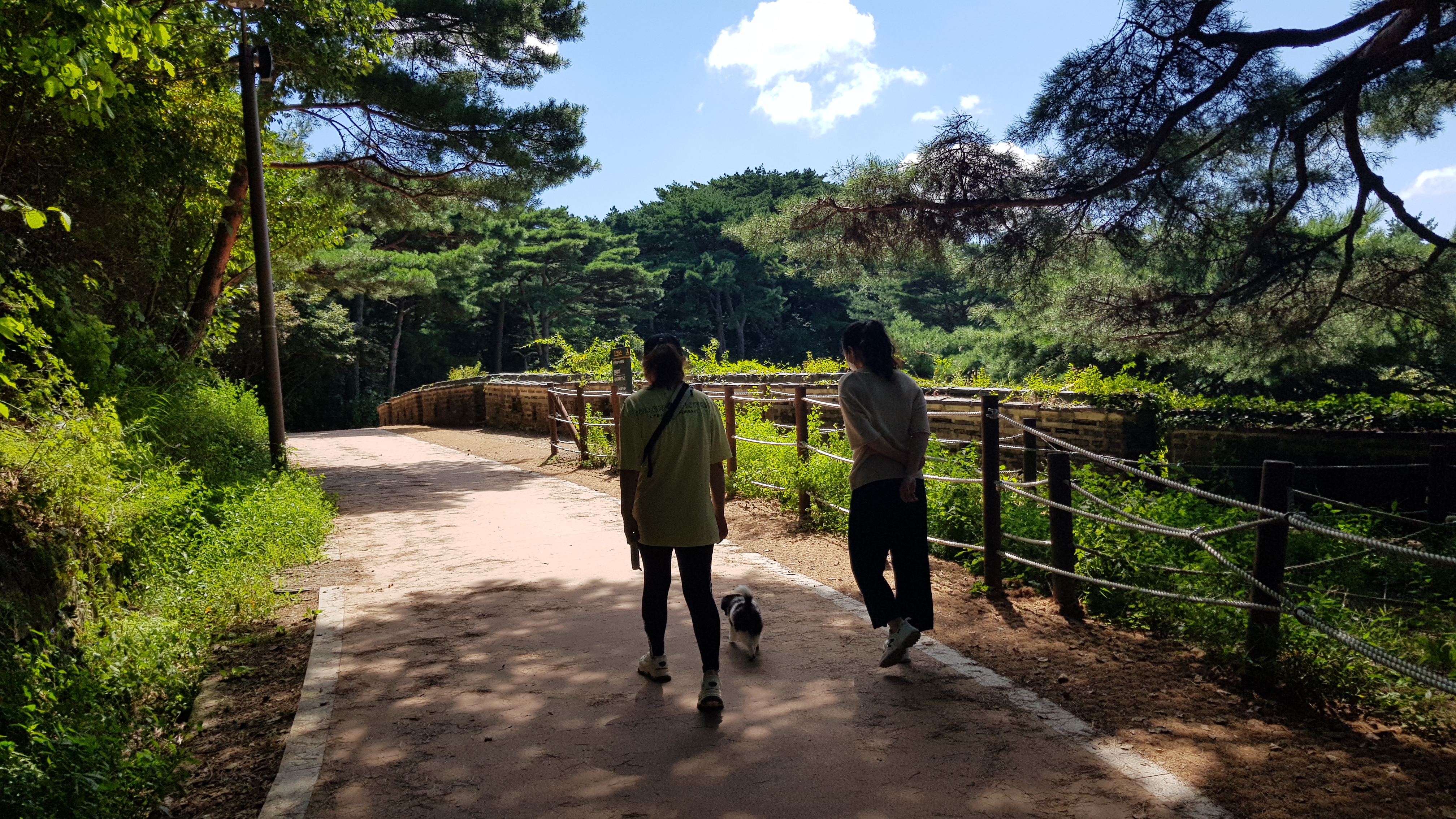 자이 입양 한달일기