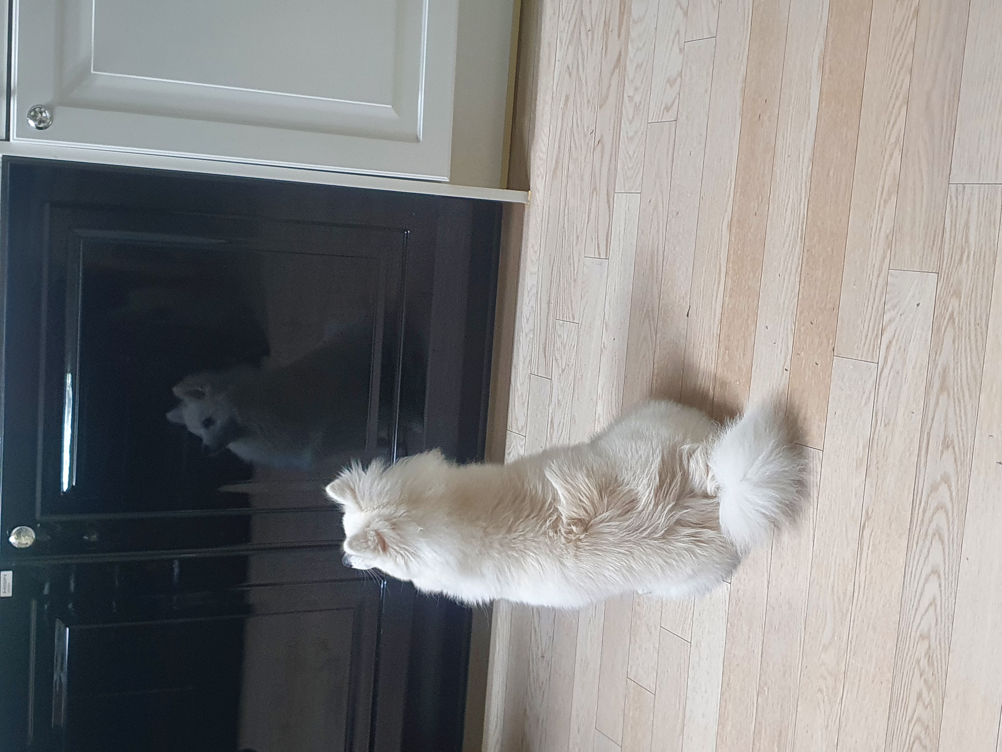 감자 잘 지내고 있습니다 ><