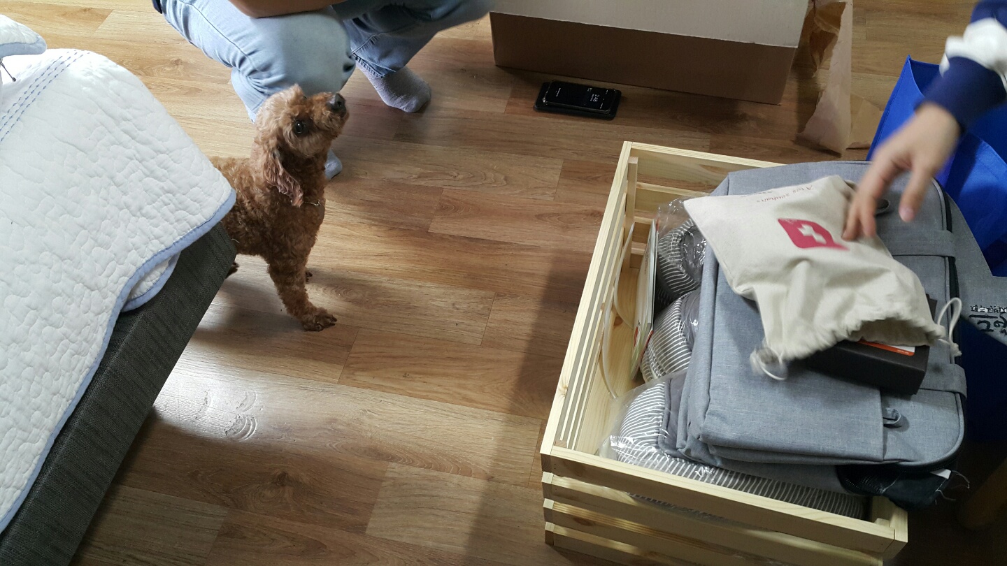 행복이(군밤이)의 일주일