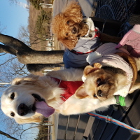 호박이 (고양 4번)는 잘 지내고 있습니다.