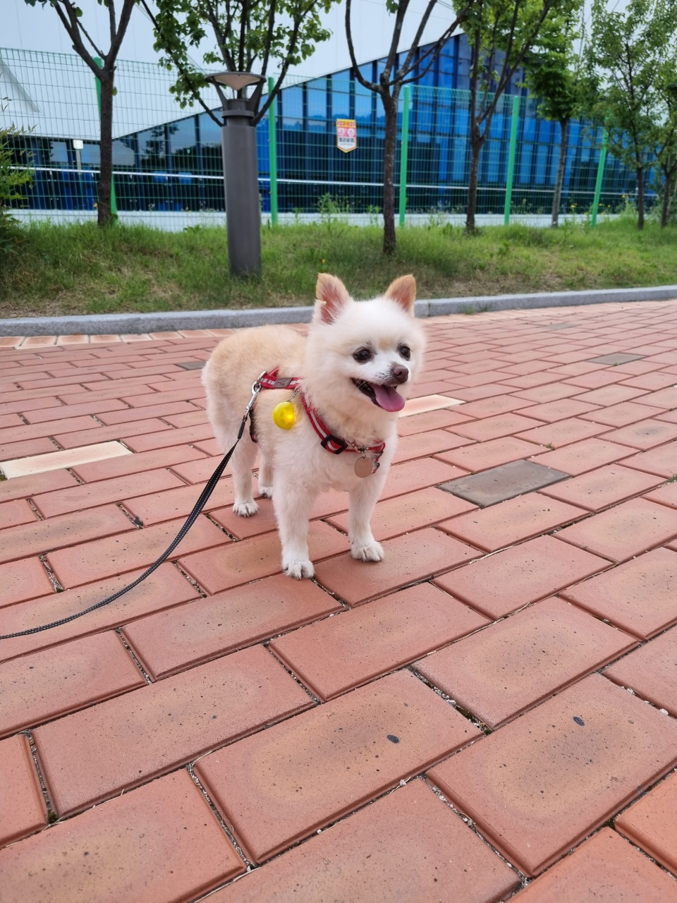 육곤이 입양 3개월~ 이렇게 지내고 있어요~