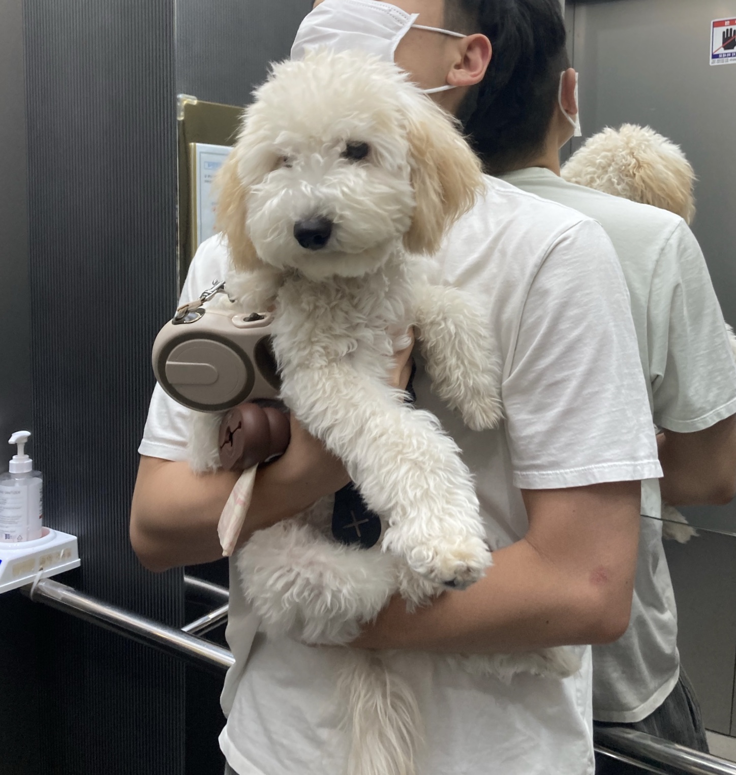 잼이(곤지암) 6개월 이야기입니다! 