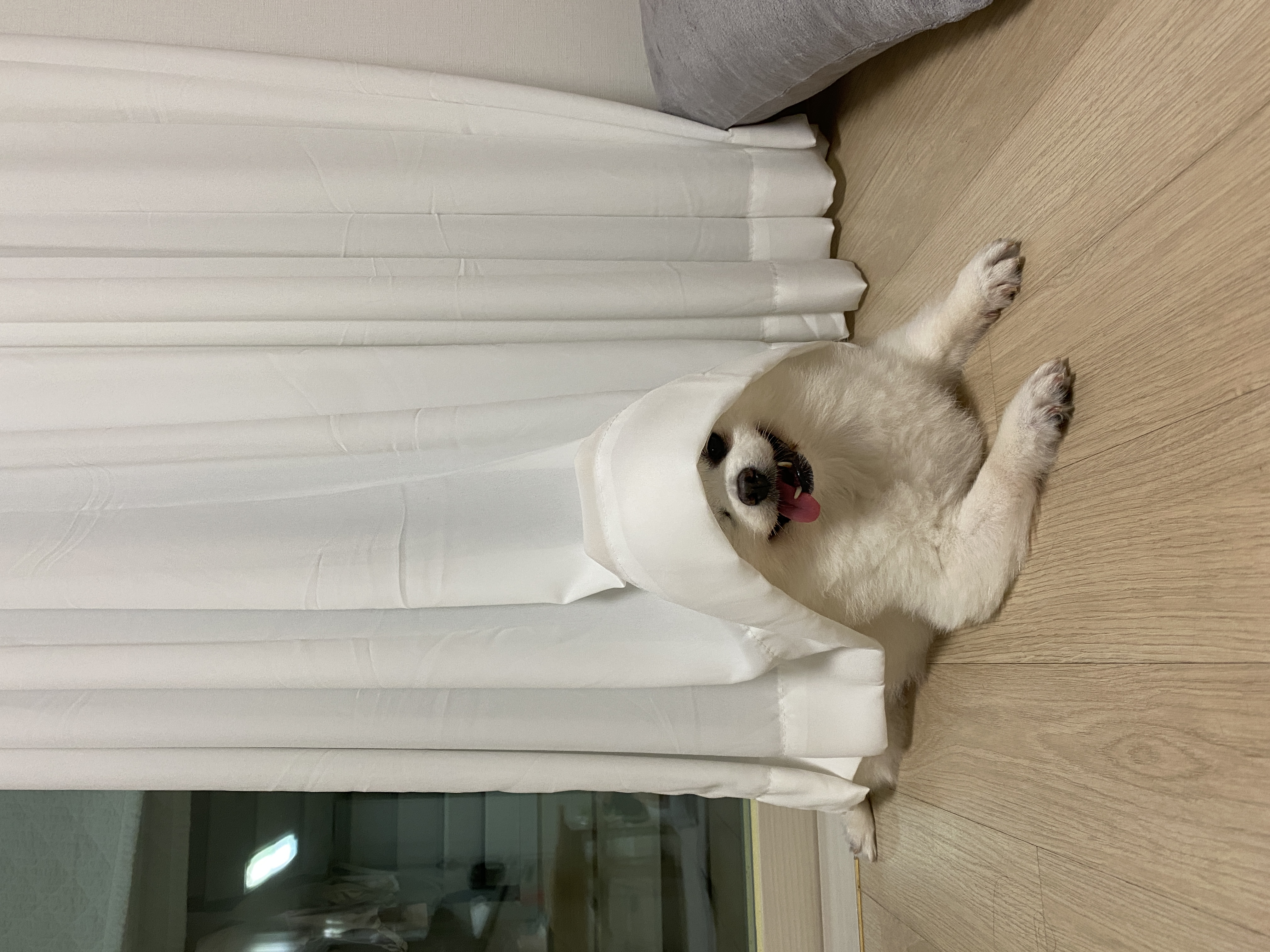 내겐 너무 완벽한 그녀, 그림이의 입양 후 3개월